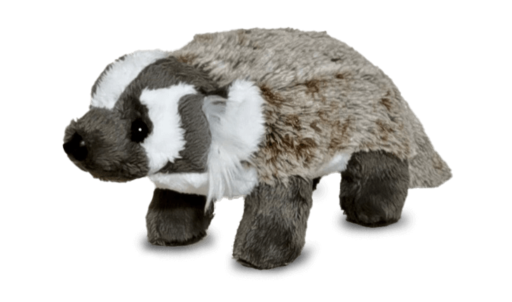 Ensemble d’adoption du blaireau d’Amérique - Peluche