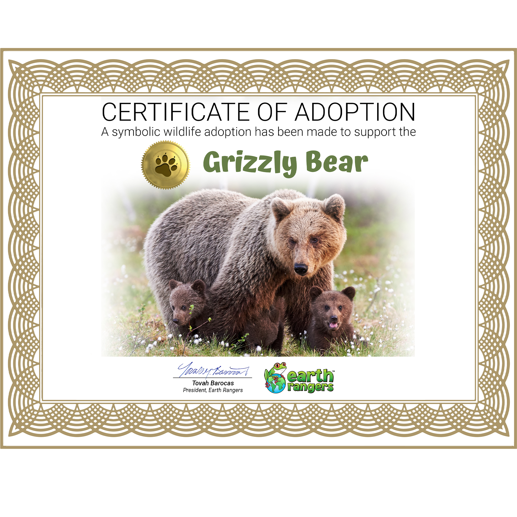 Grizzly Bear Adoption Kit