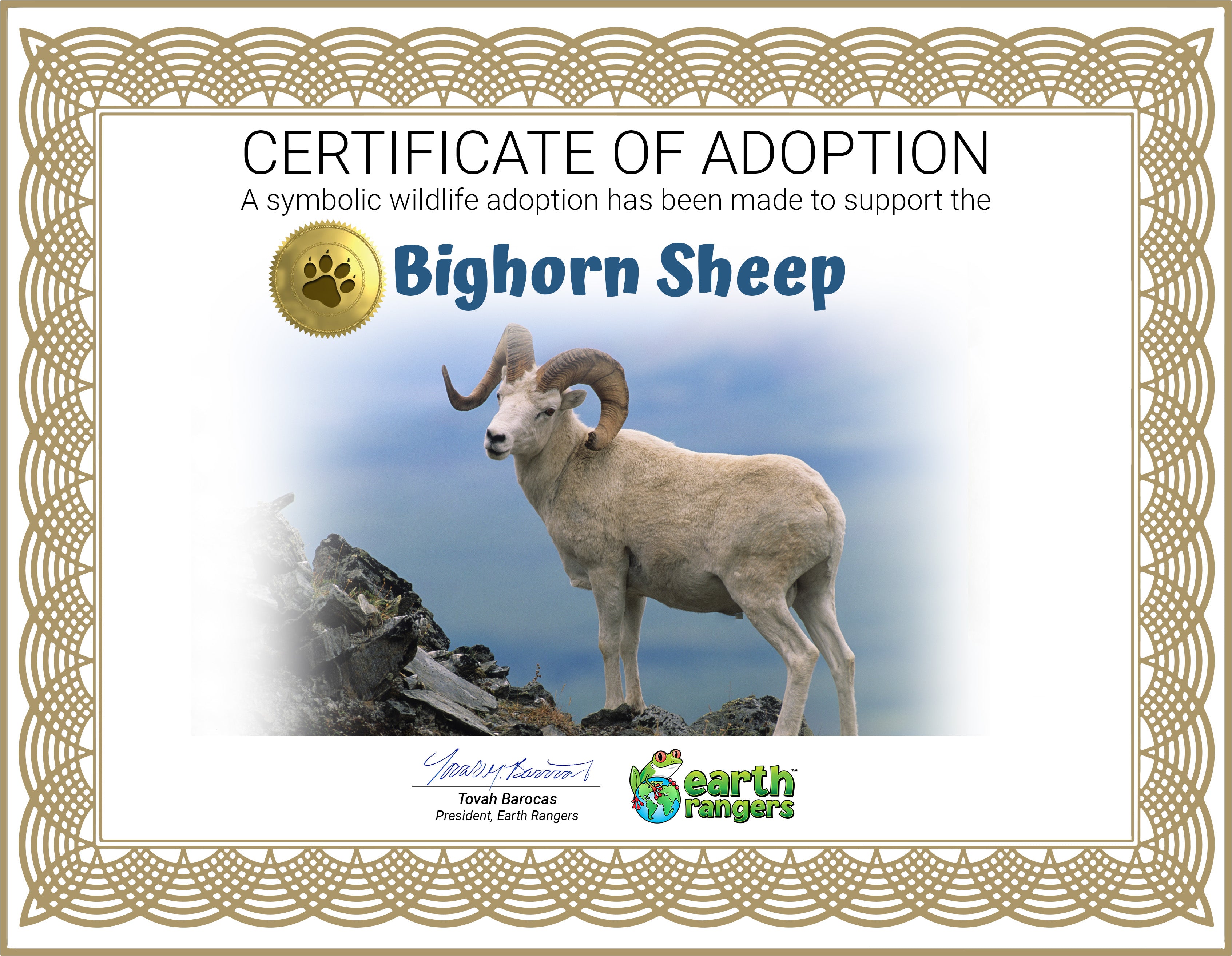 Bighorn Sheep Adoption Kit