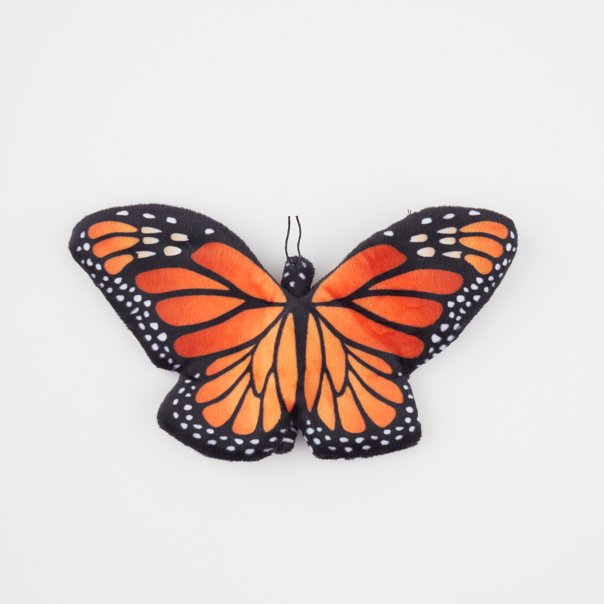Monarch Butterfly Adoption Kit