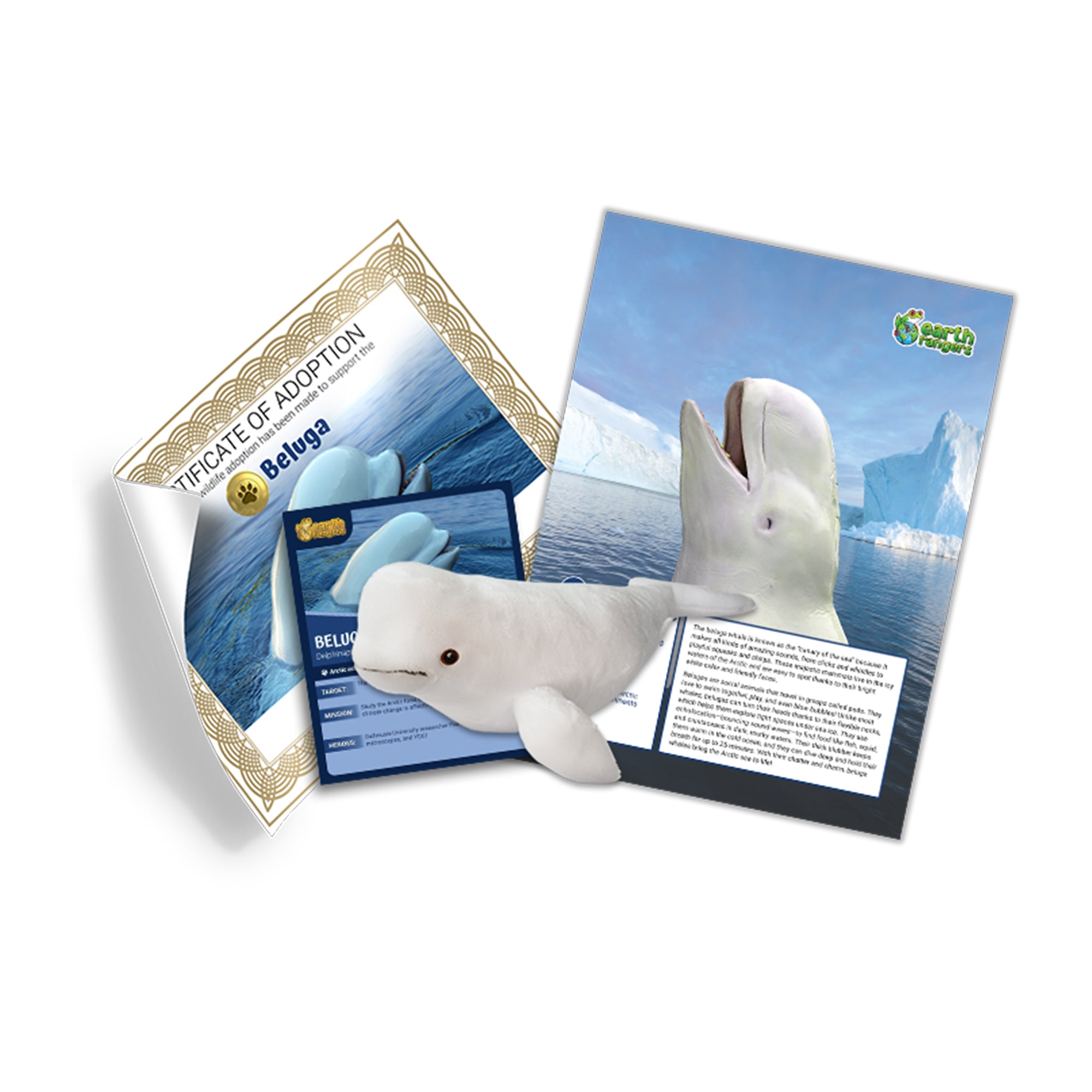 Beluga Whale Adoption Kit - Plush Bundle