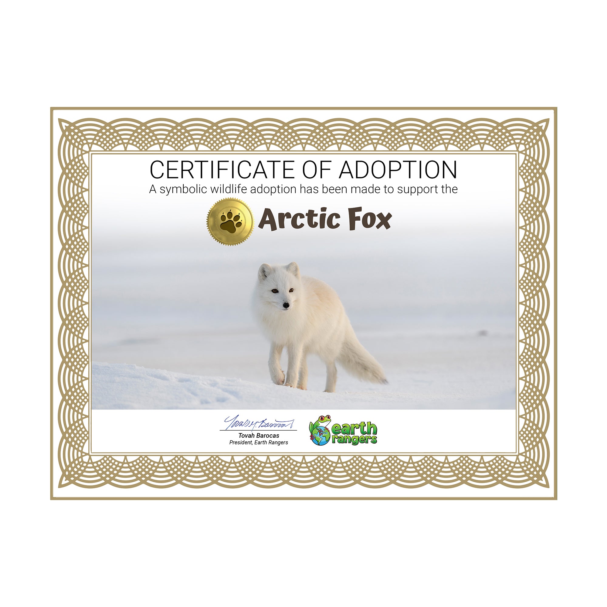 Arctic Fox Adoption Kit - Plush Bundle