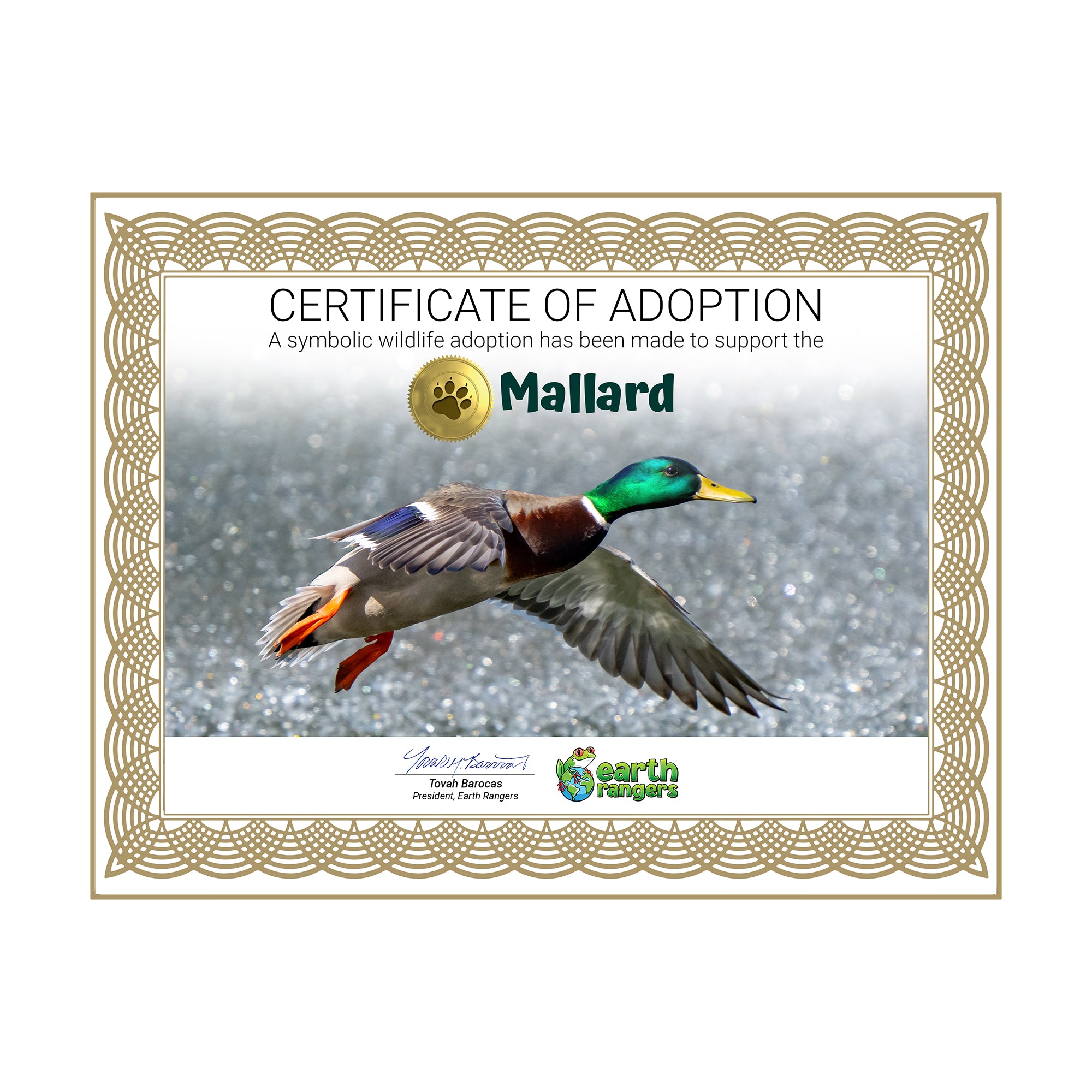 Mallard Adoption Kit - Plush Bundle