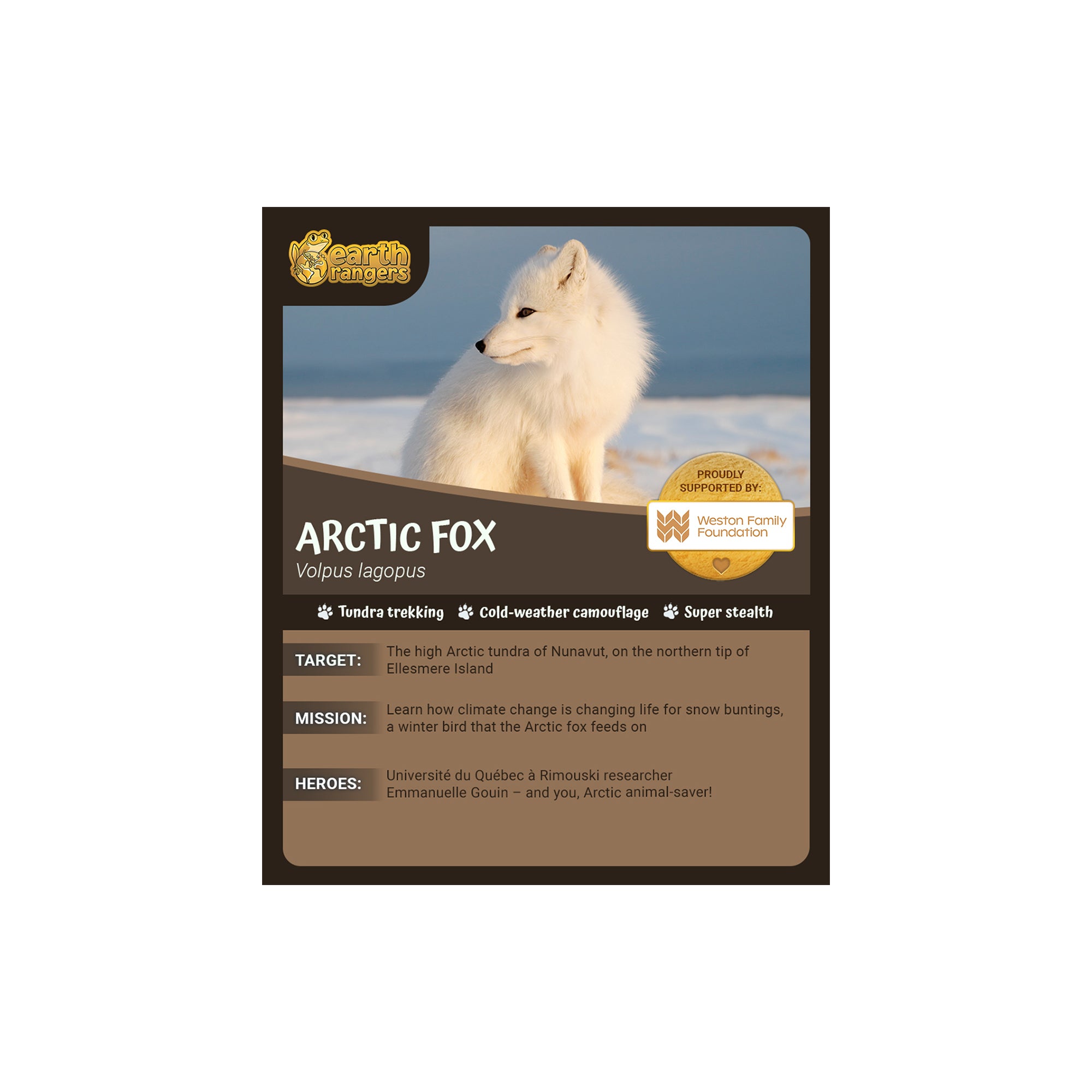 Arctic Fox Adoption Kit - Plush Bundle