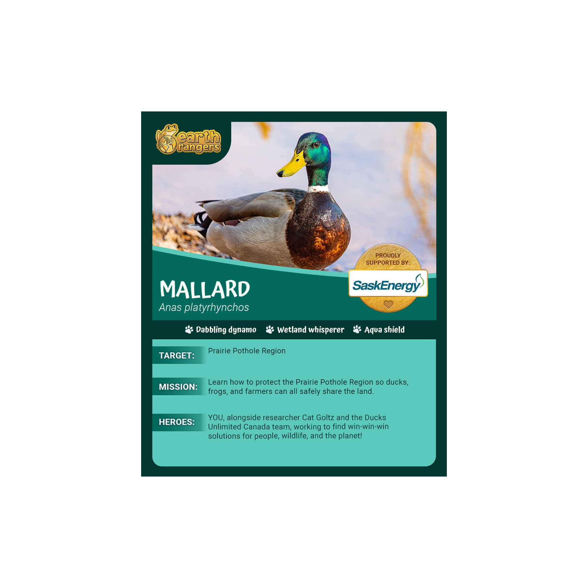 Mallard Adoption Kit - Plush Bundle