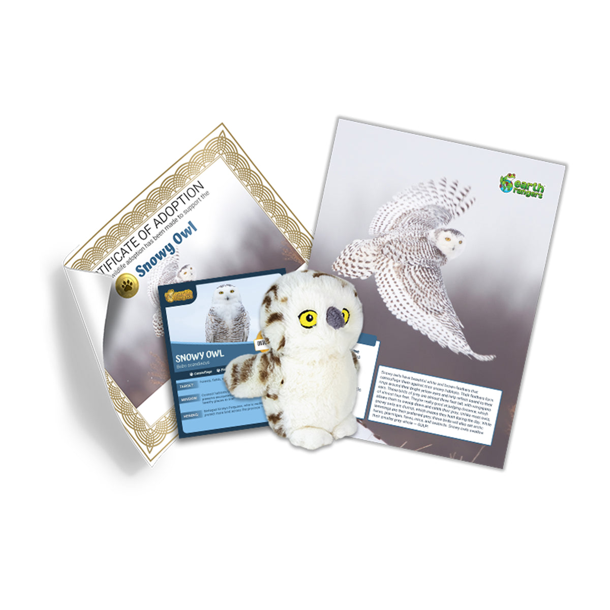 Snowy Owl Adoption Kit