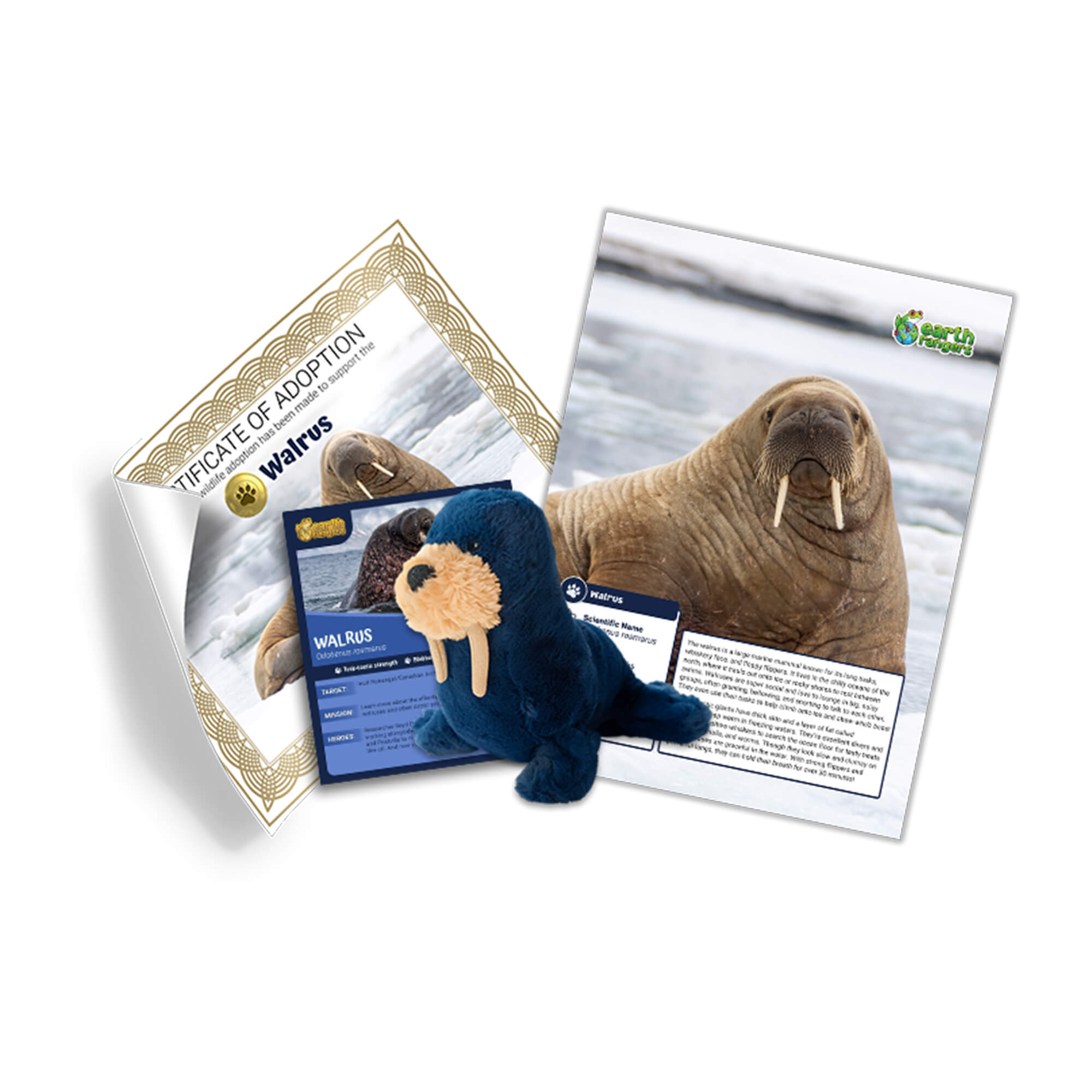 Walrus Adoption Kit - Plush Bundle