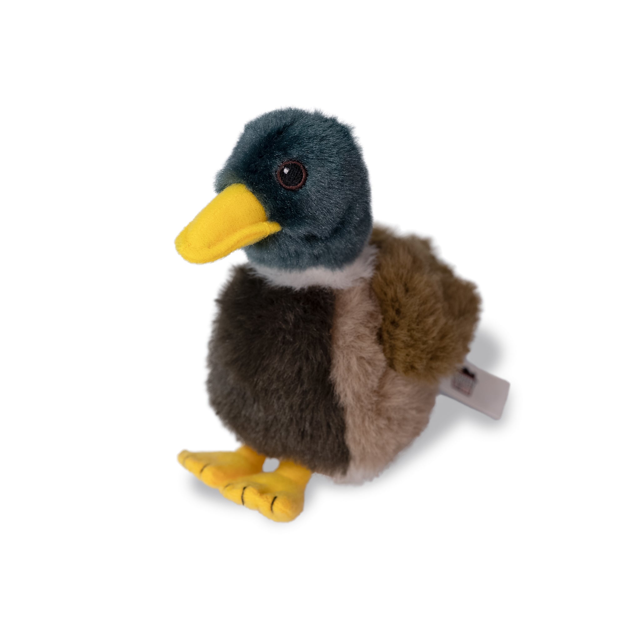Mallard Adoption Kit - Plush Bundle