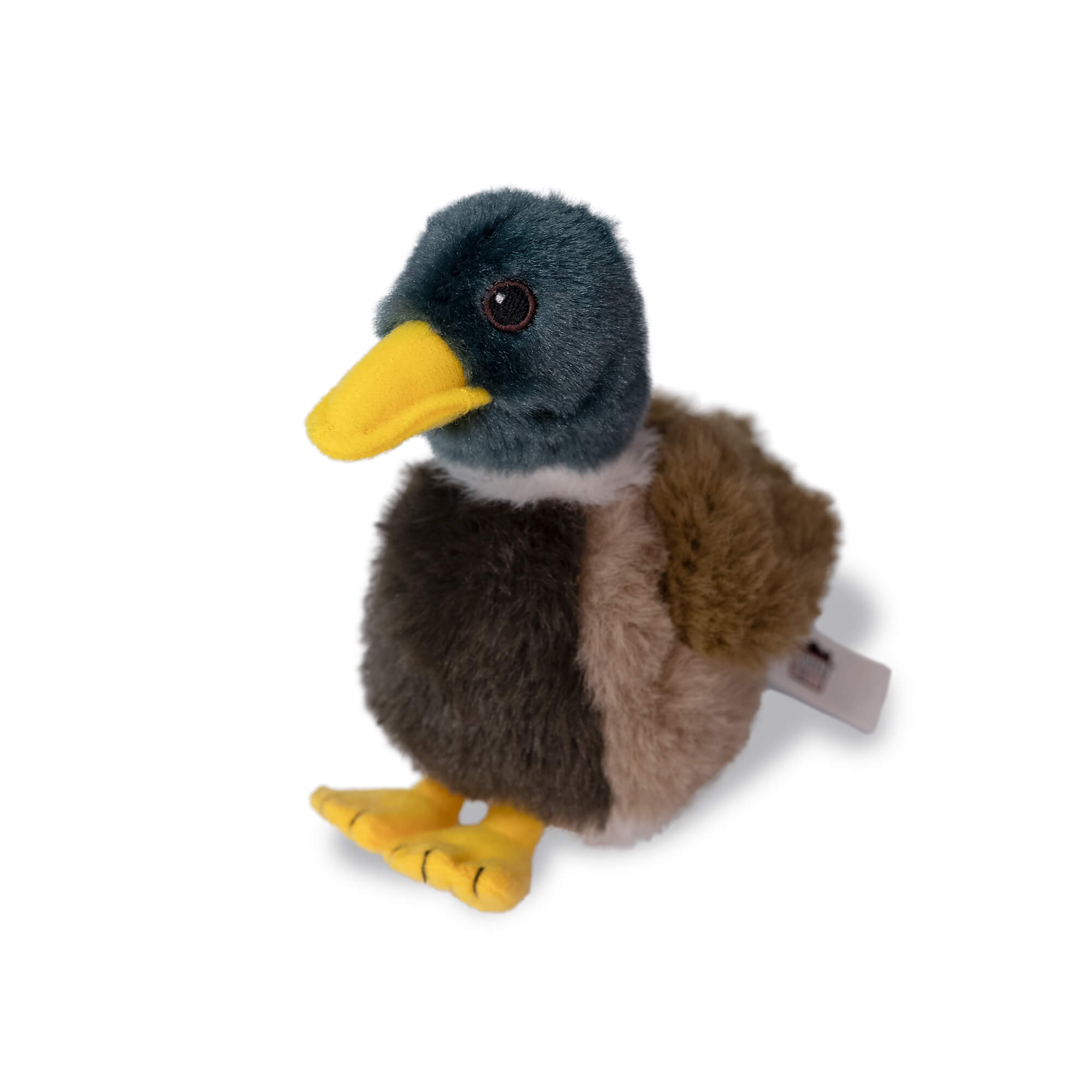 Mallard Adoption Kit - Plush Bundle