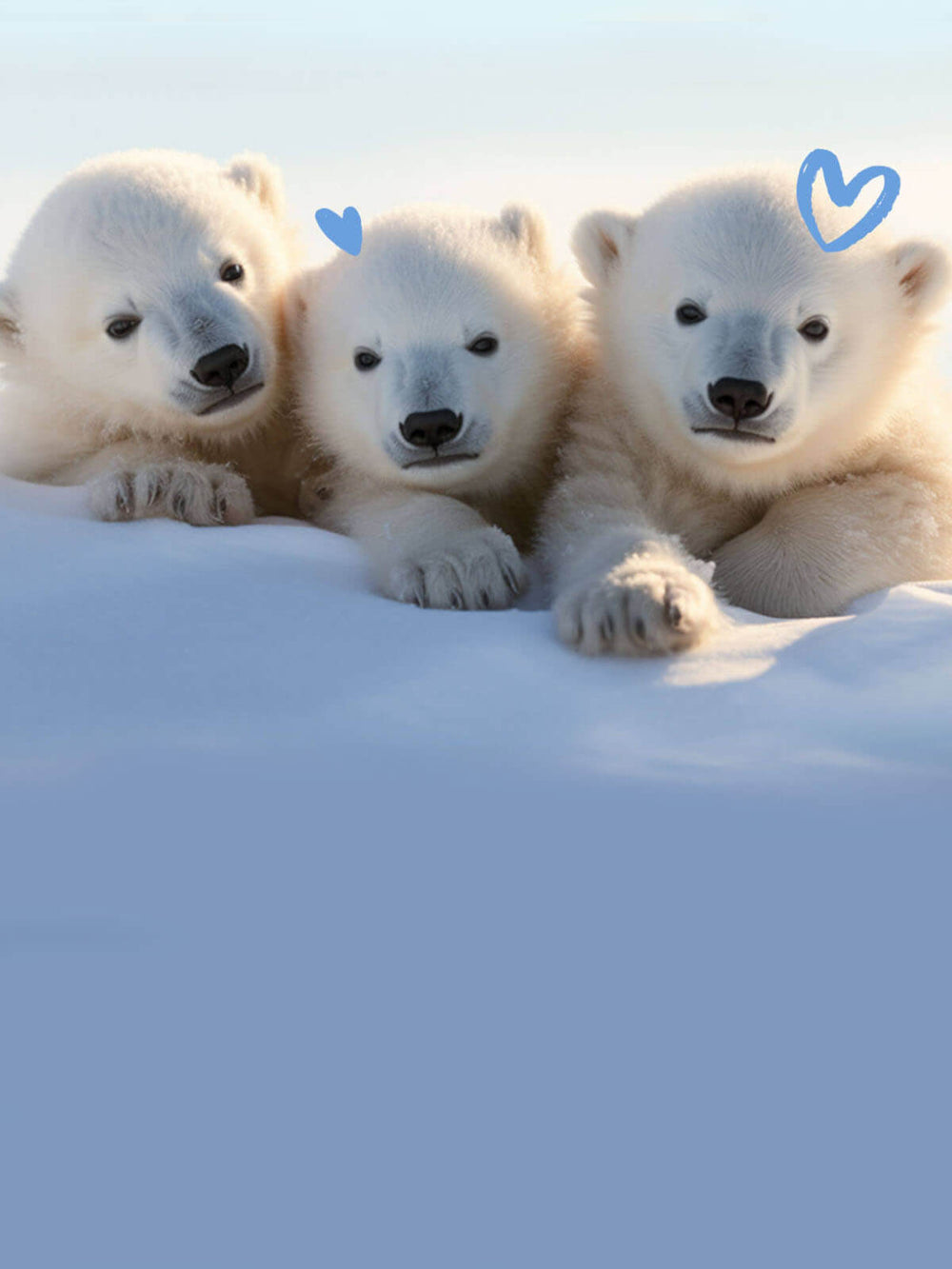 The Earth Rangers Shop: T-shirts and Earth Rangers Gear