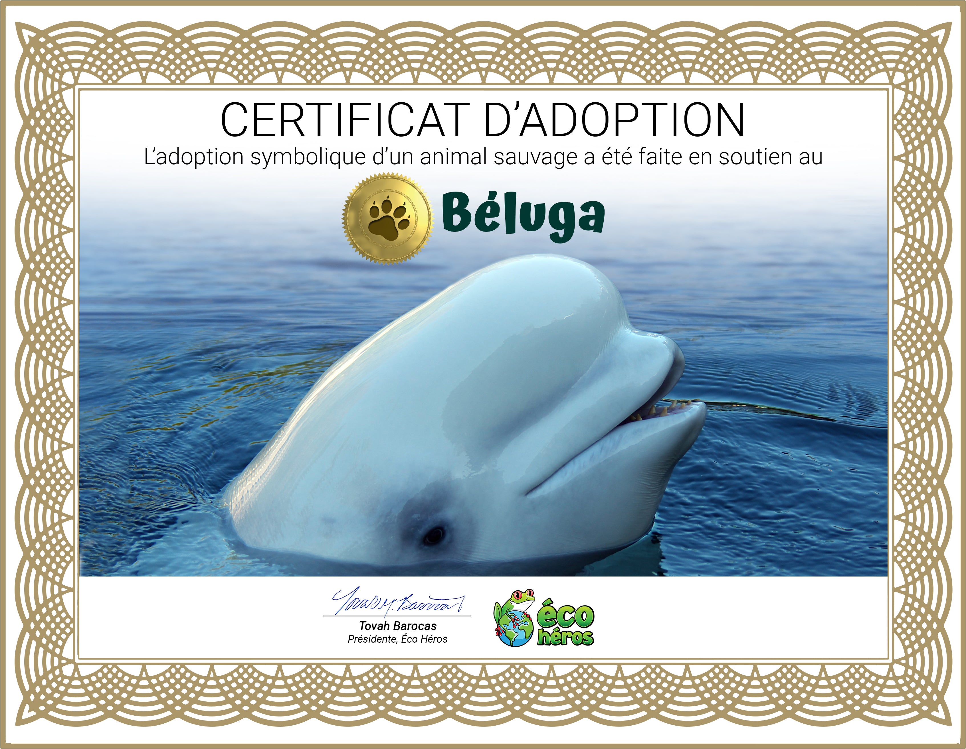 Ensemble d’adoption du béluga - Peluche