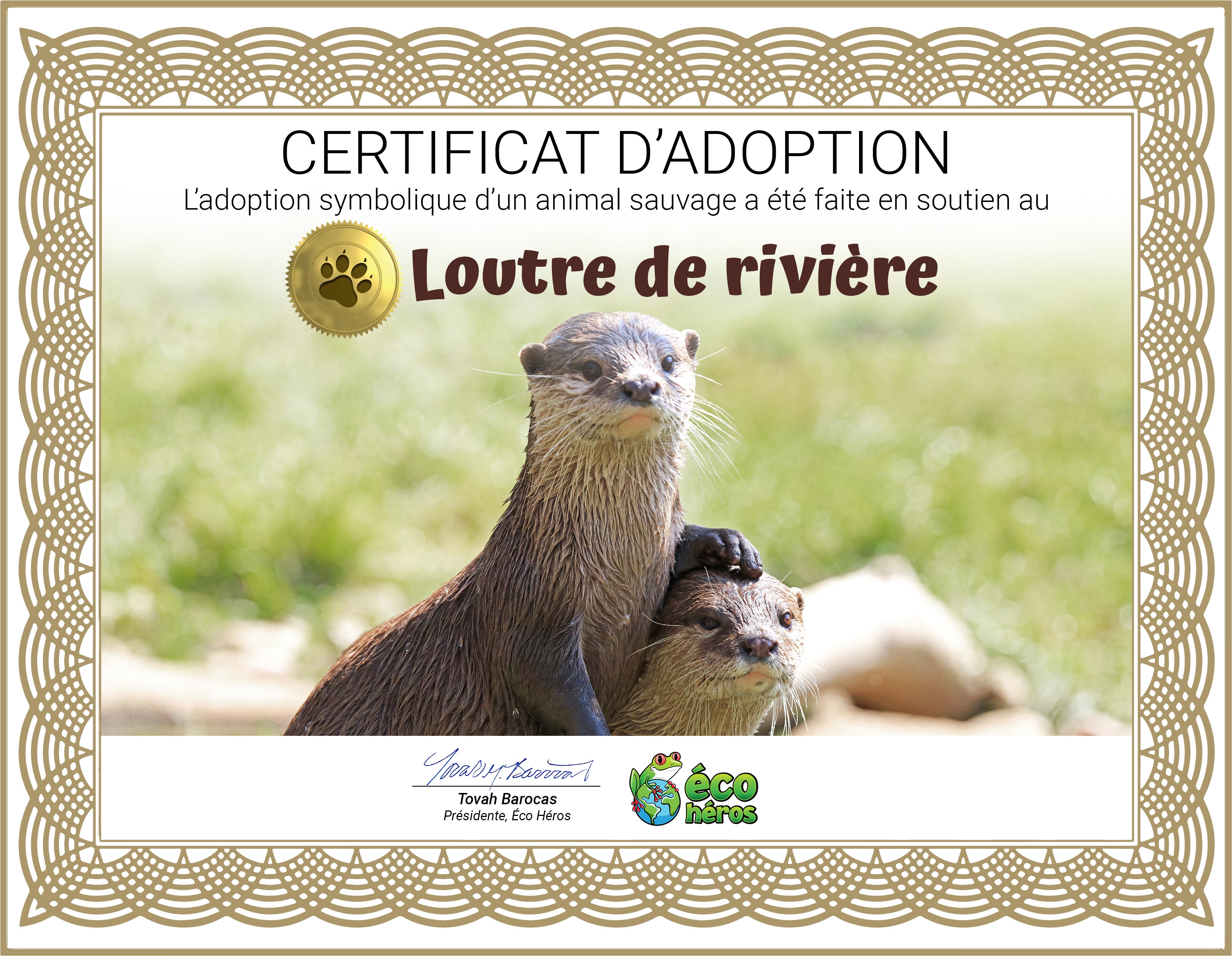 Ensemble d’adoption de la Loutre de Rivière - Peluche
