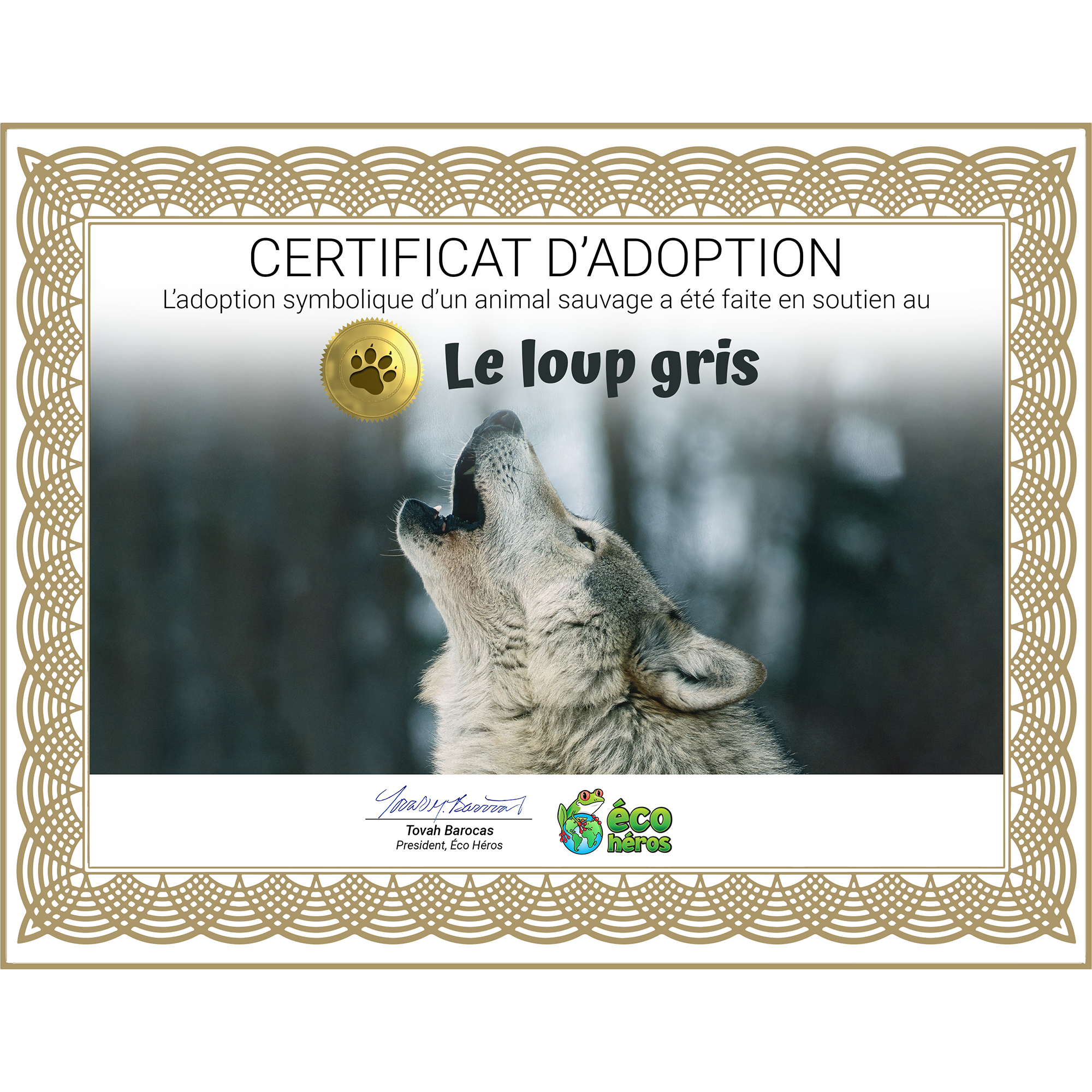 Ensemble d’adoption du loup gris