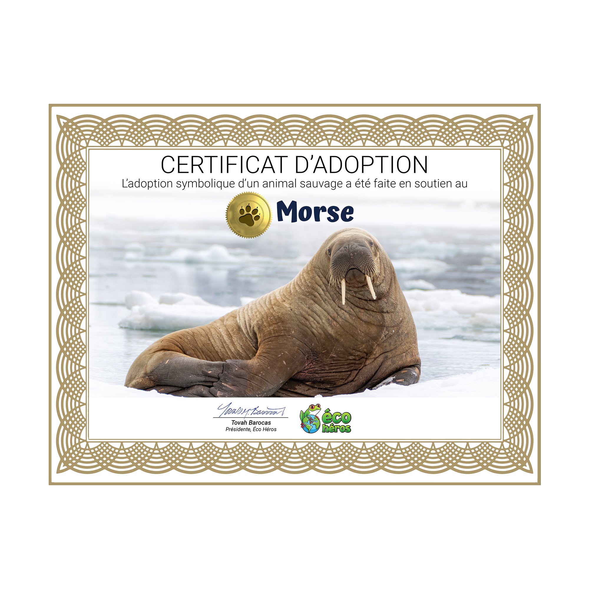 Ensemble d'adoption de morse - Peluche