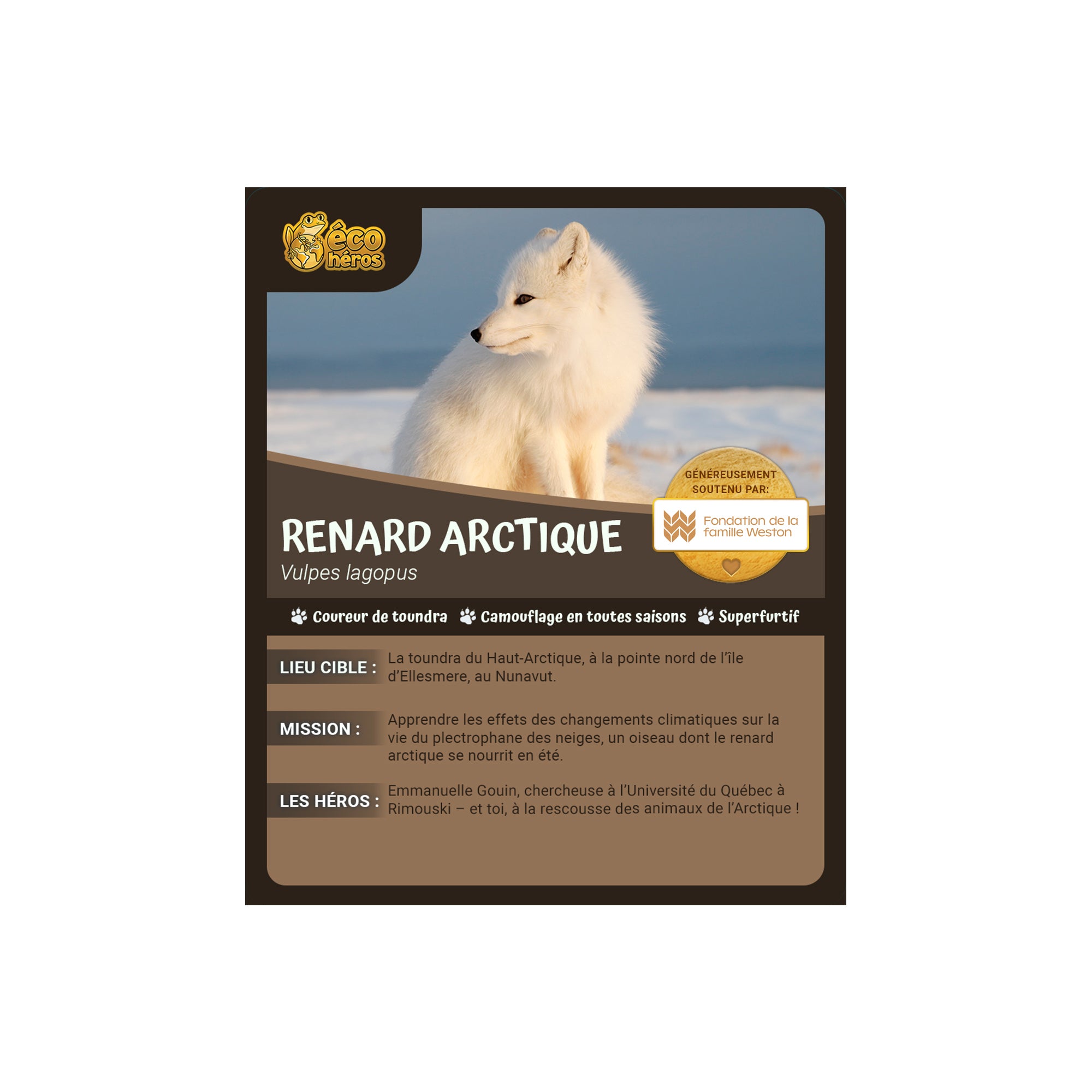 Ensemble d'adoption du renard arctique - Peluche