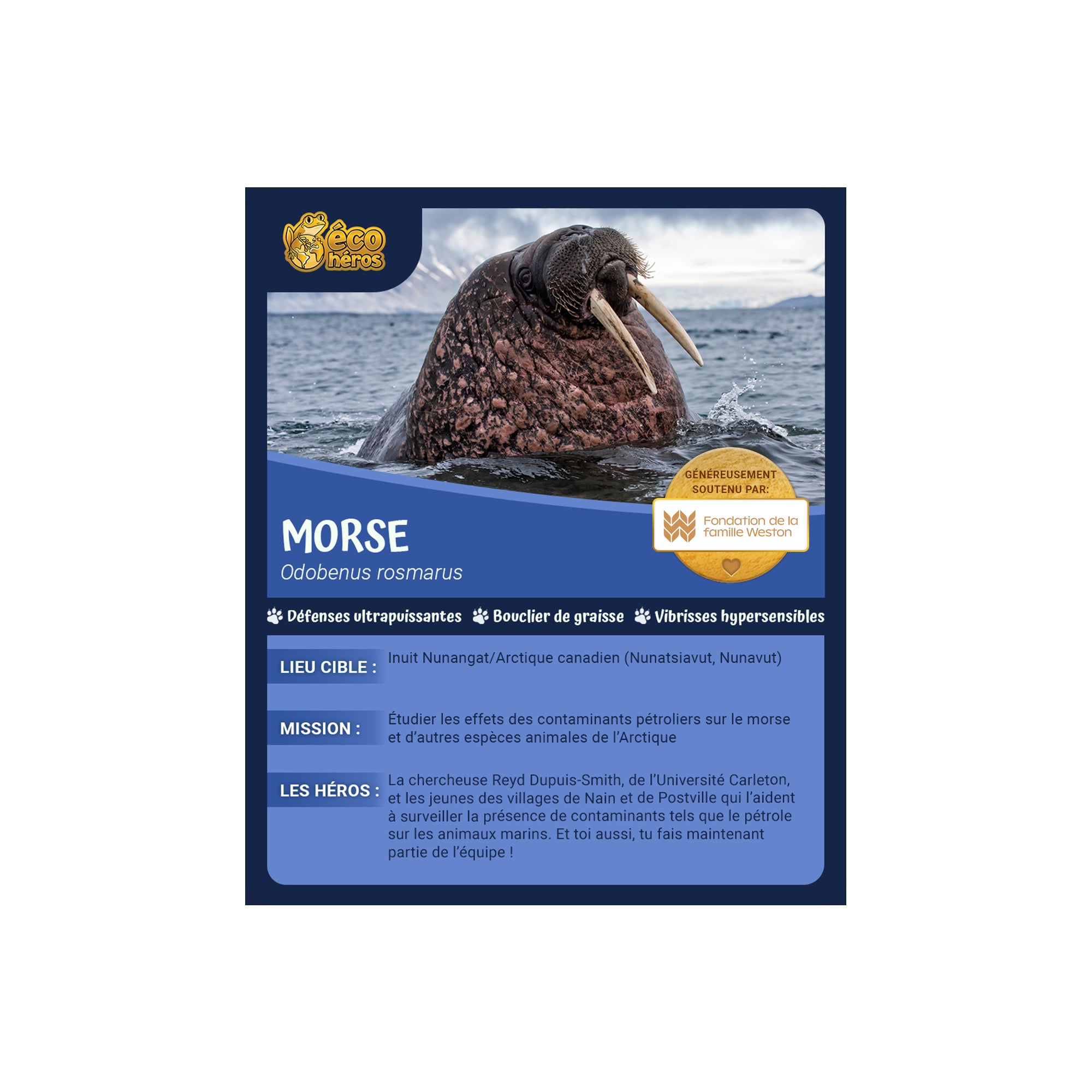 Ensemble d'adoption de morse - Peluche