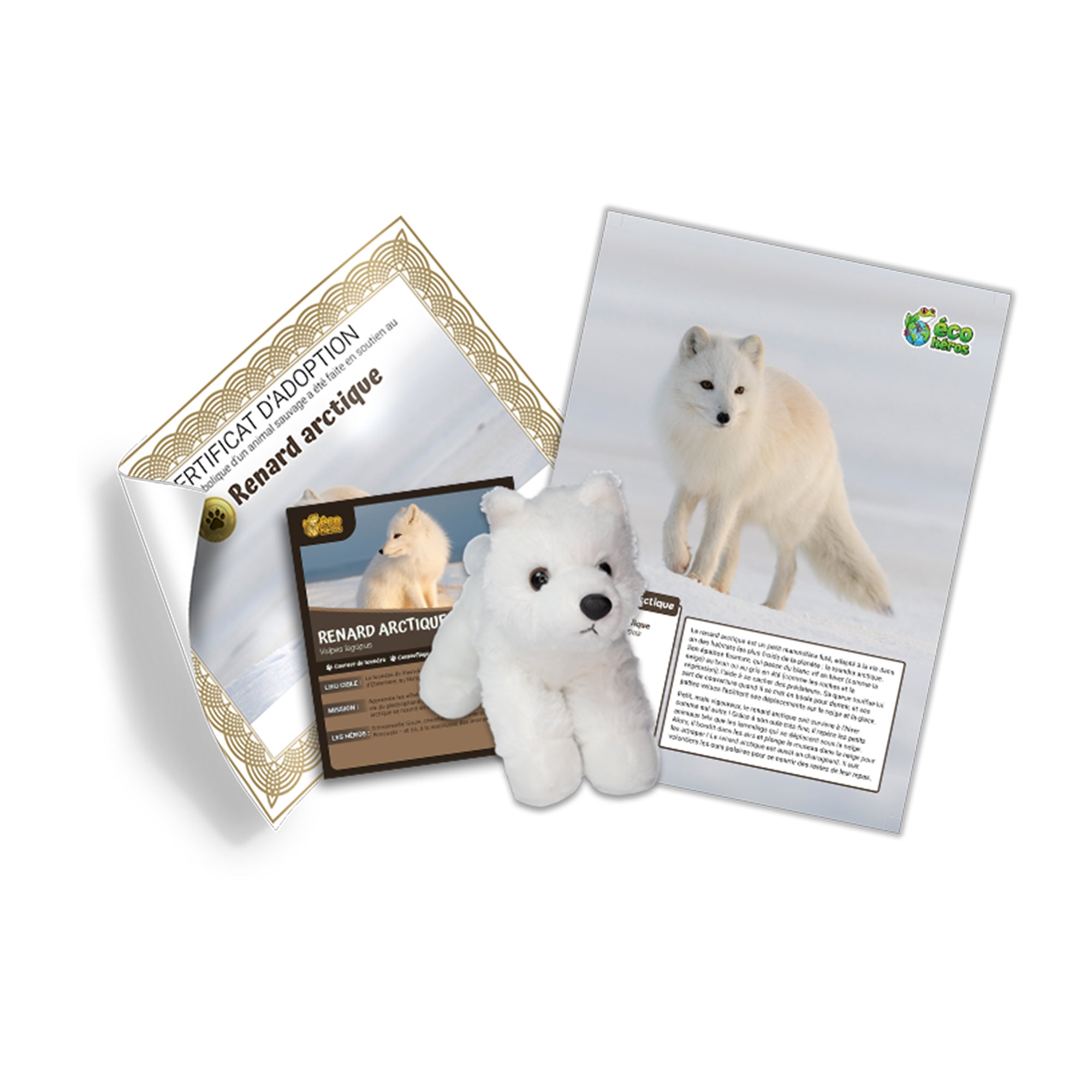 Ensemble d’adoption du renard arctique