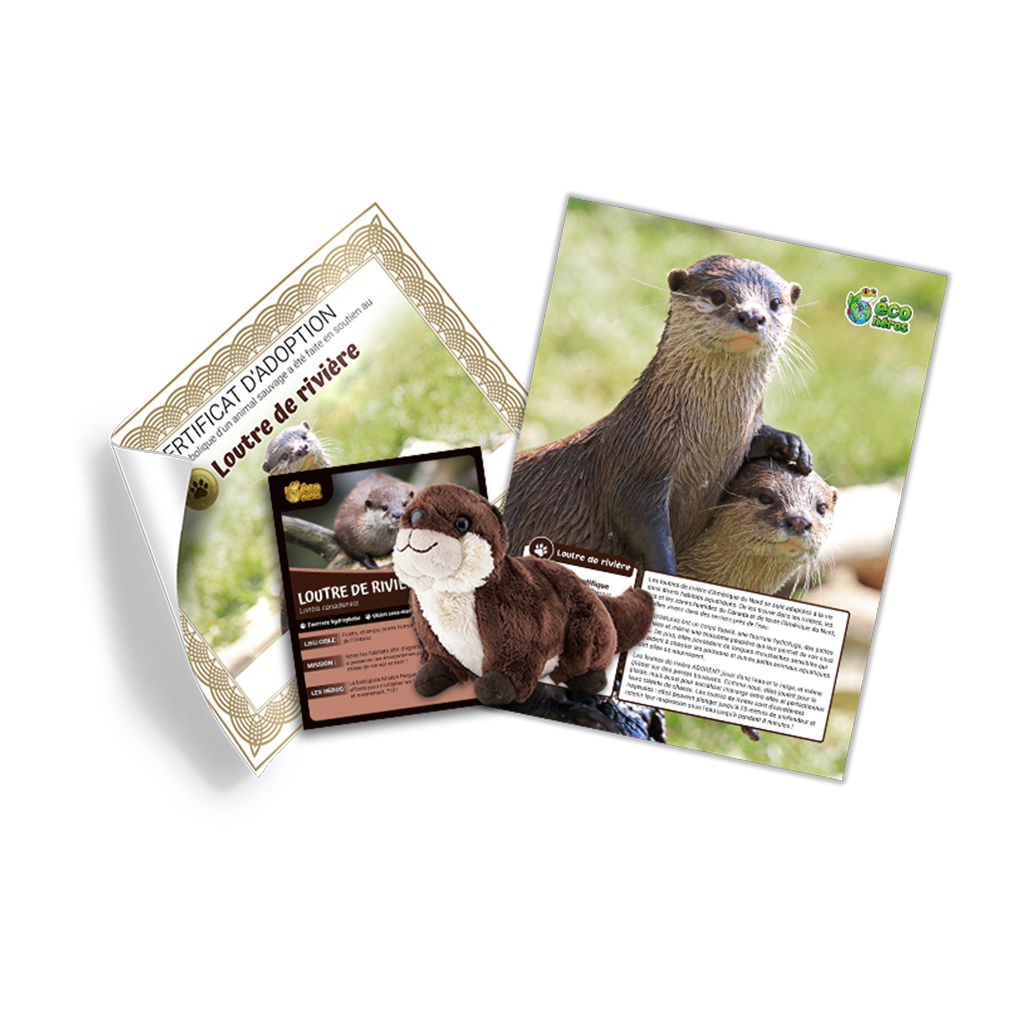Ensemble d’adoption de la Loutre de Rivière - Peluche