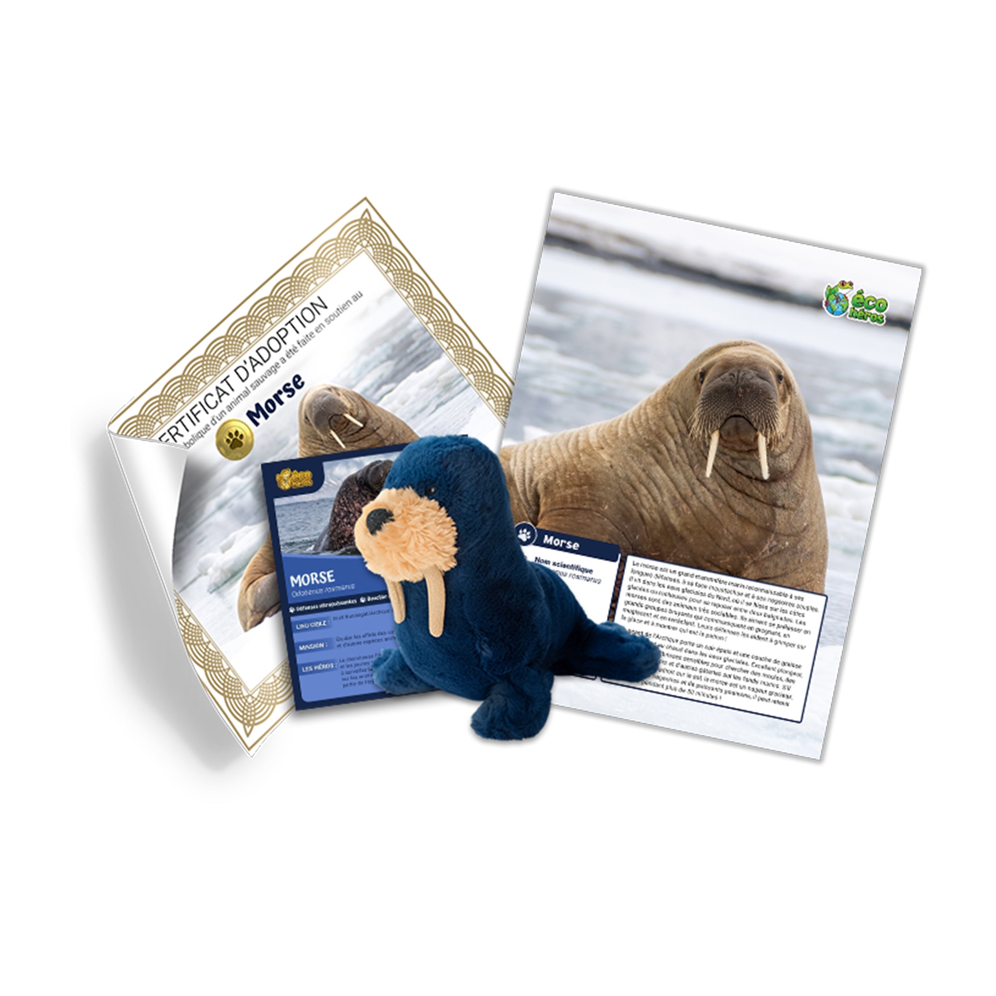 Ensemble d'adoption de morse - Peluche