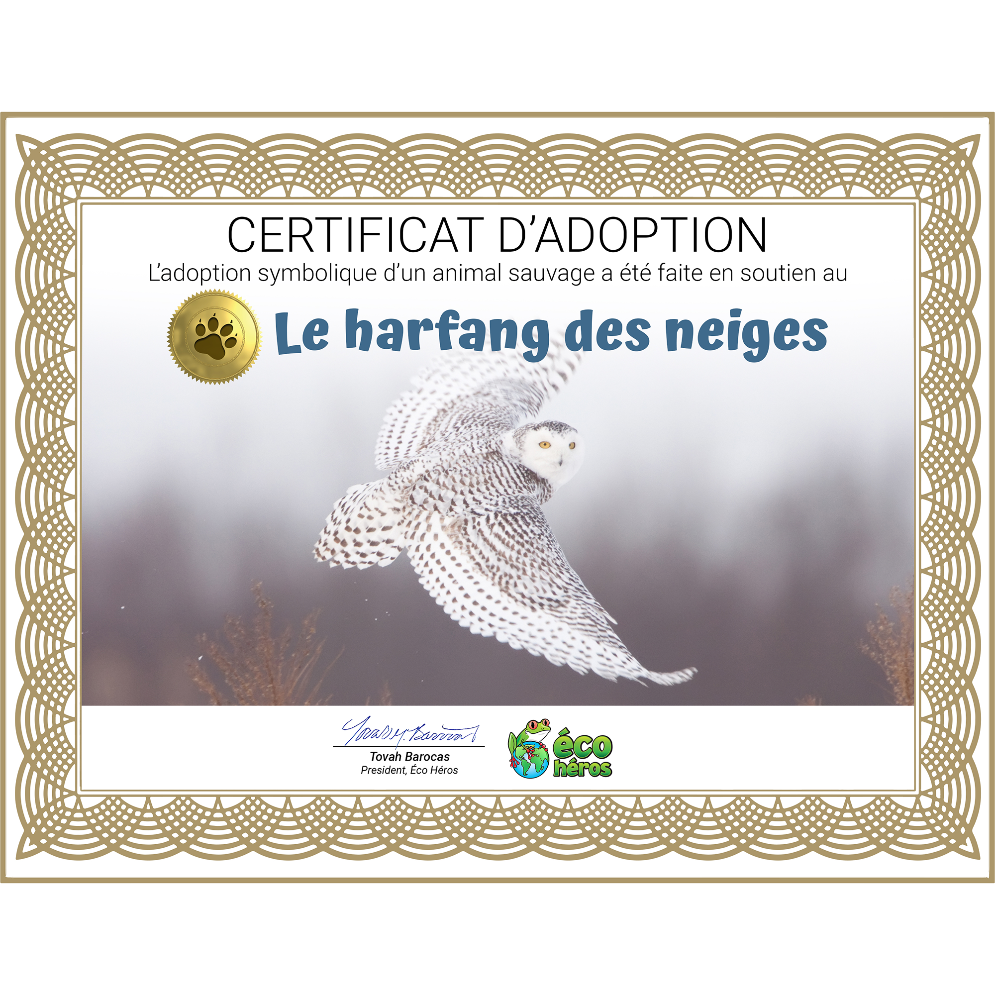 Ensemble d’adoption du harfang des neiges