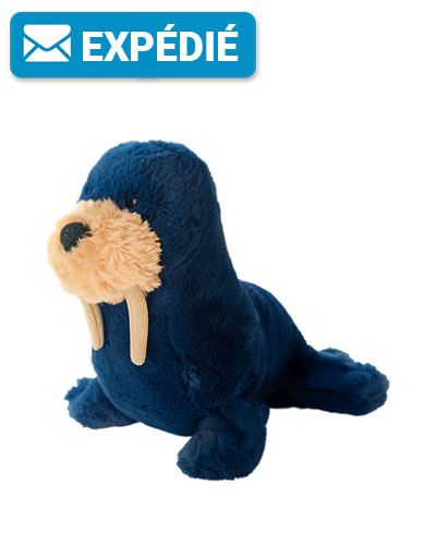 Ensemble d'adoption de morse - Peluche