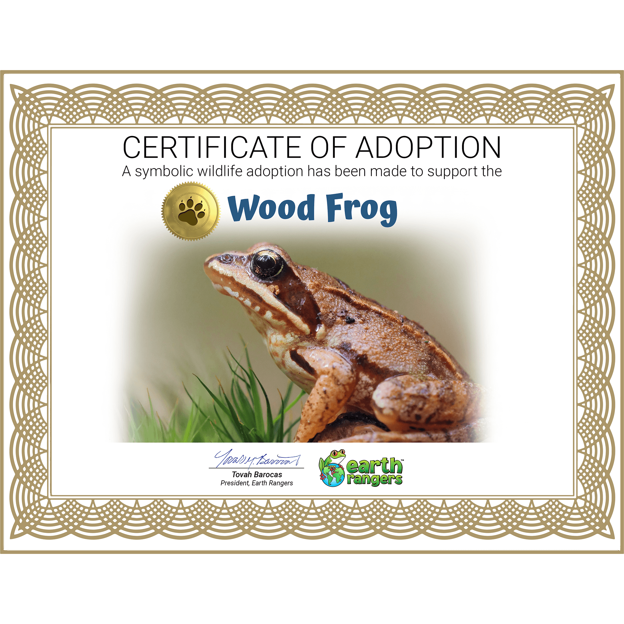 Wood Frog Adoption Kit 