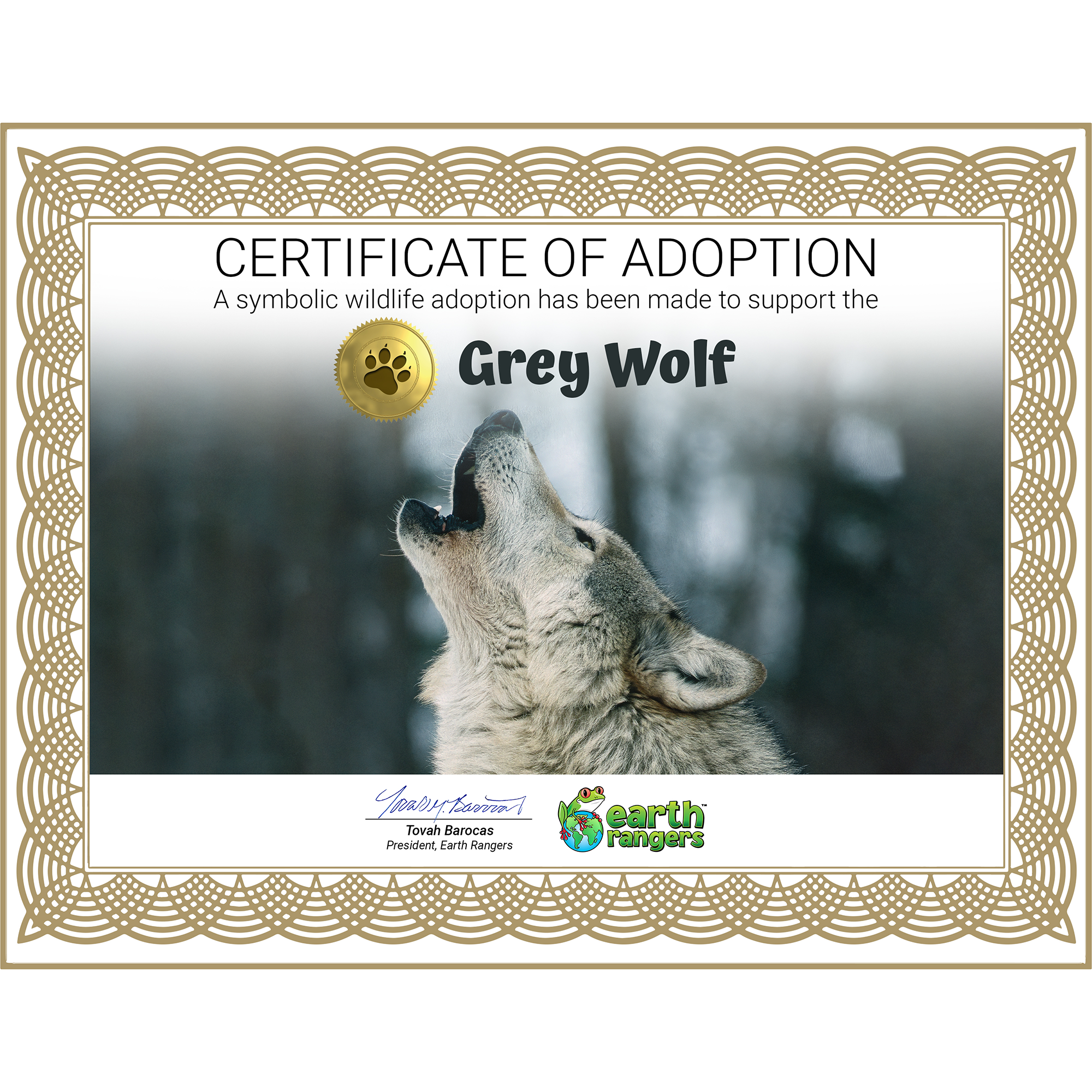 Grey Wolf Adoption Kit
