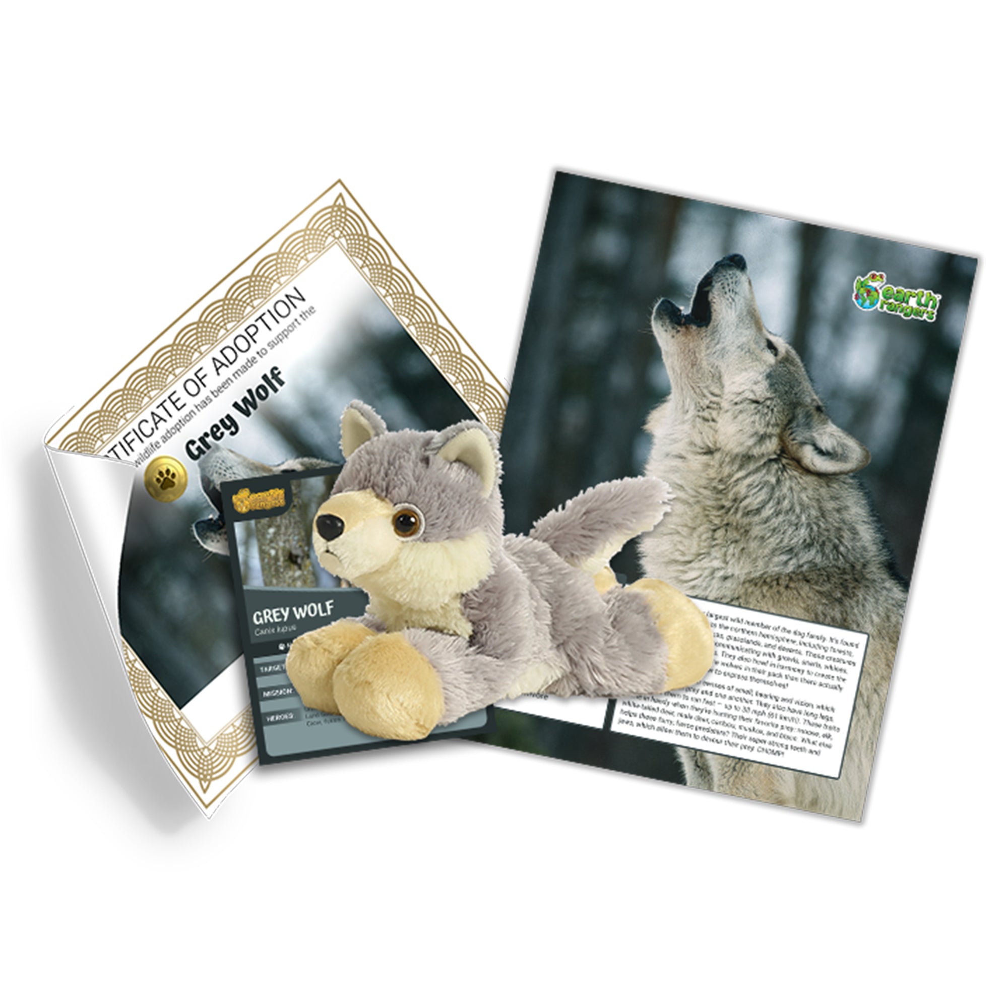 Grey Wolf Adoption Kit