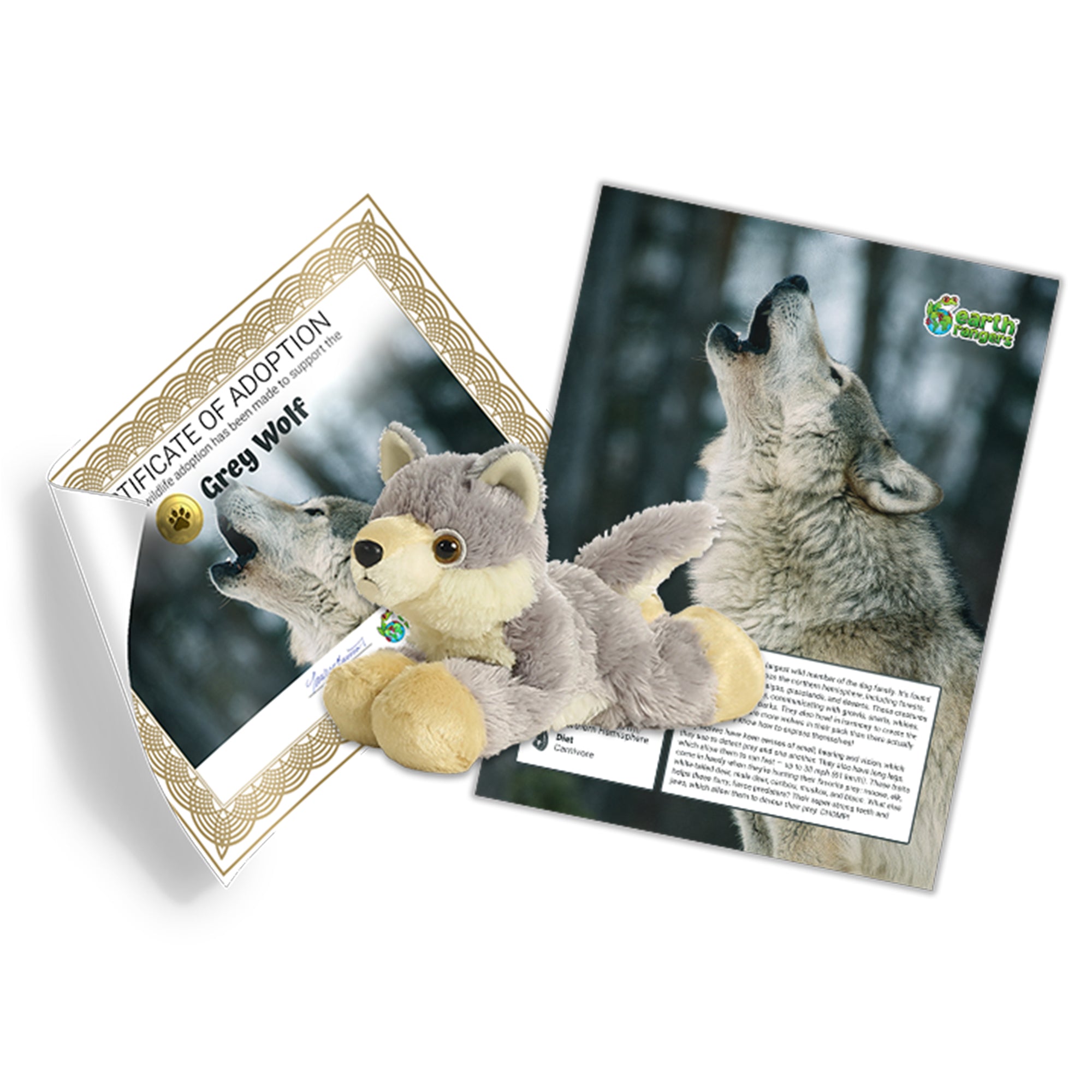 Grey Wolf Adoption Kit