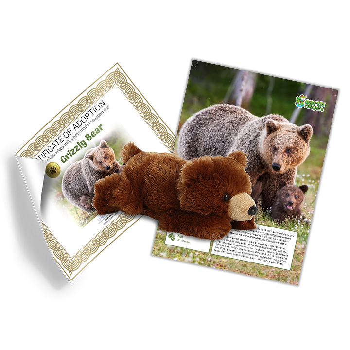 Grizzly Bear Adoption Kit 