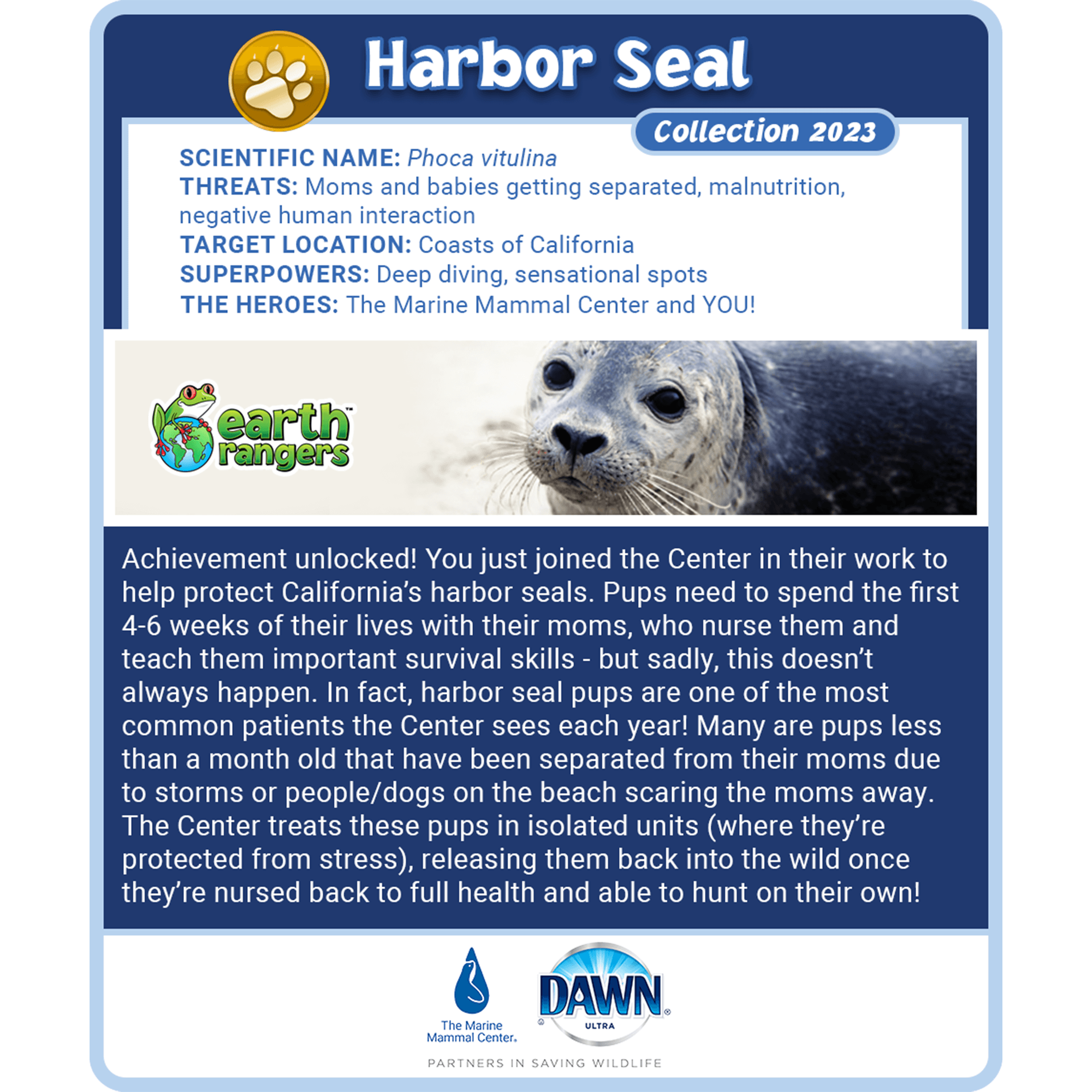 Harbor Seal Adoption Kit