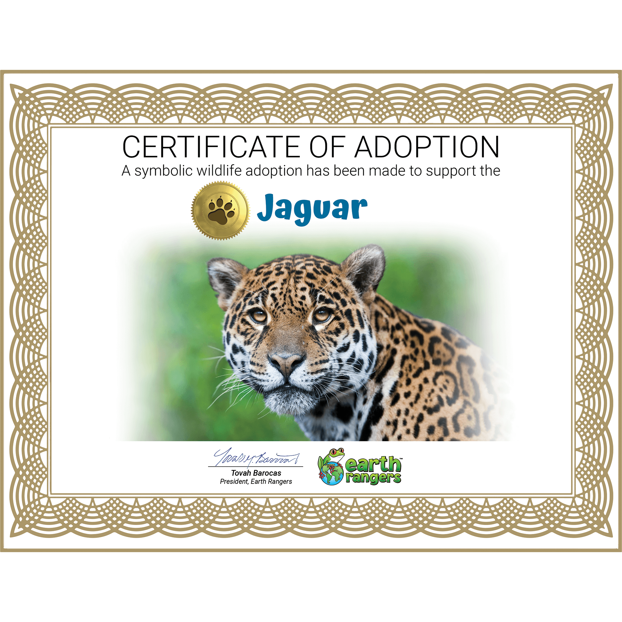Jaguar Adoption Kit 