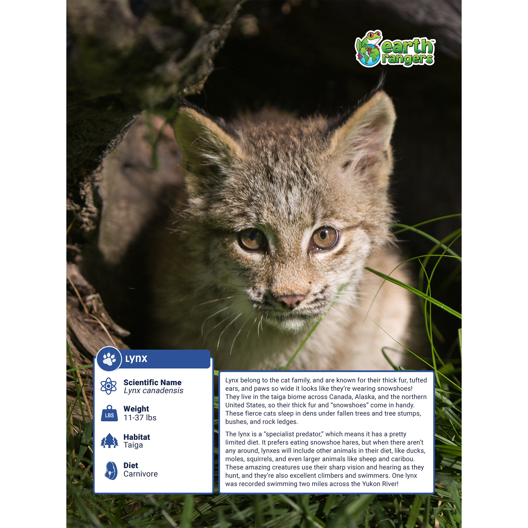 Lynx Adoption Kit