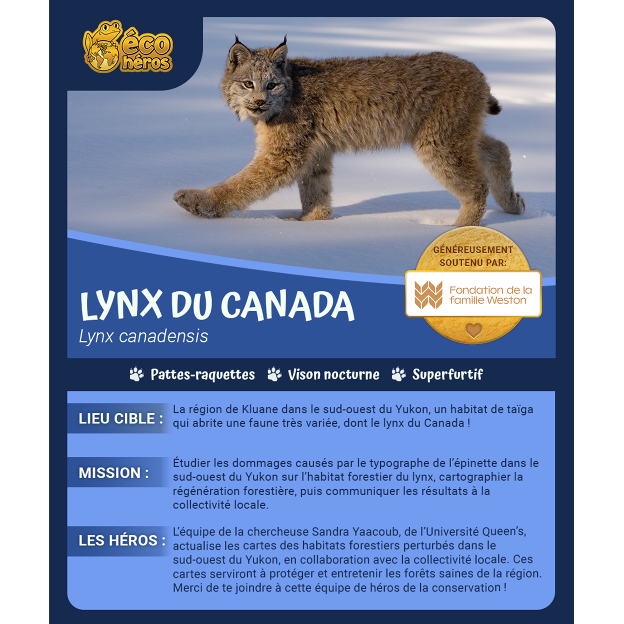 Ensemble d’adoption du lynx du Canada
