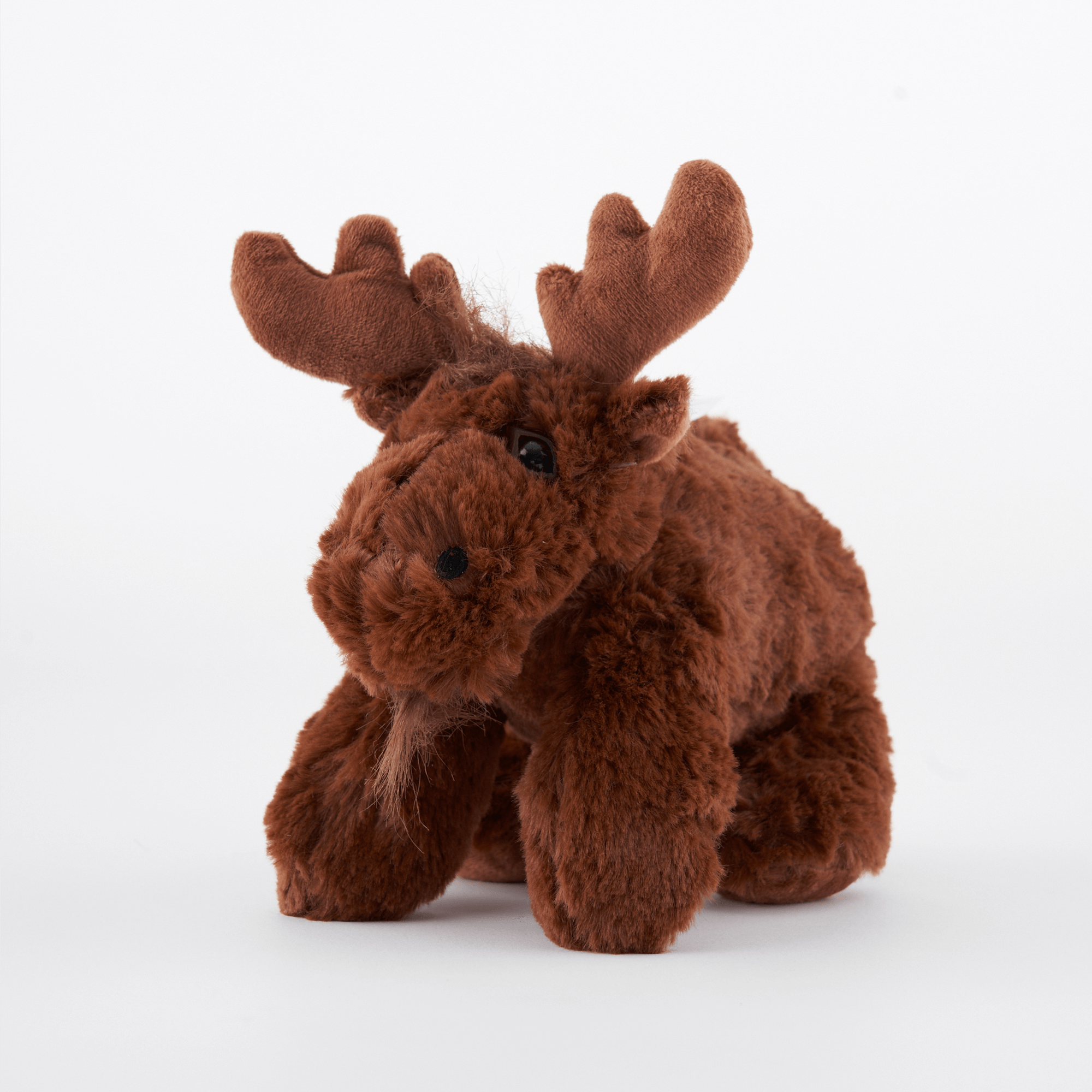 Moose Adoption Kit