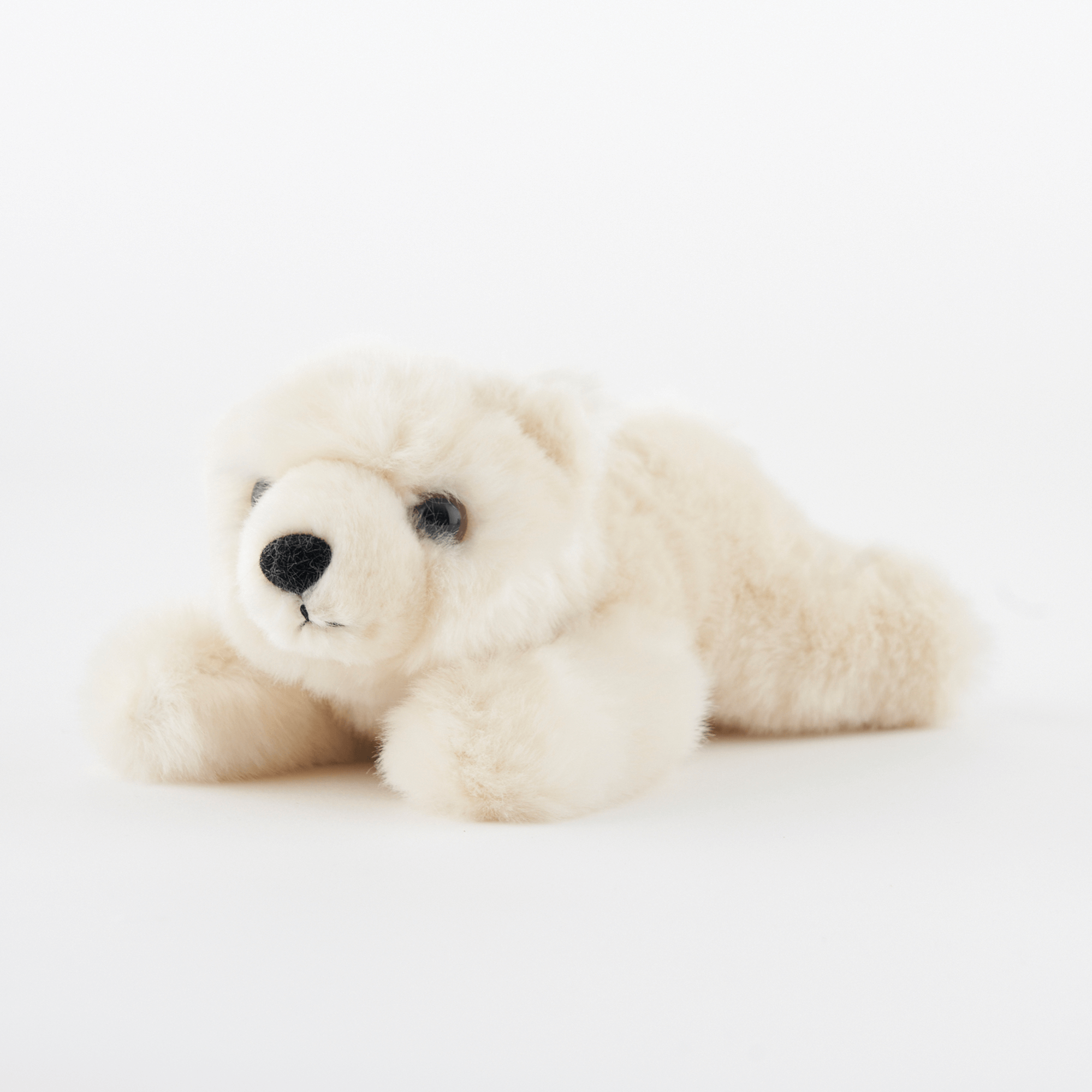 Polar bear discount cuddly toy