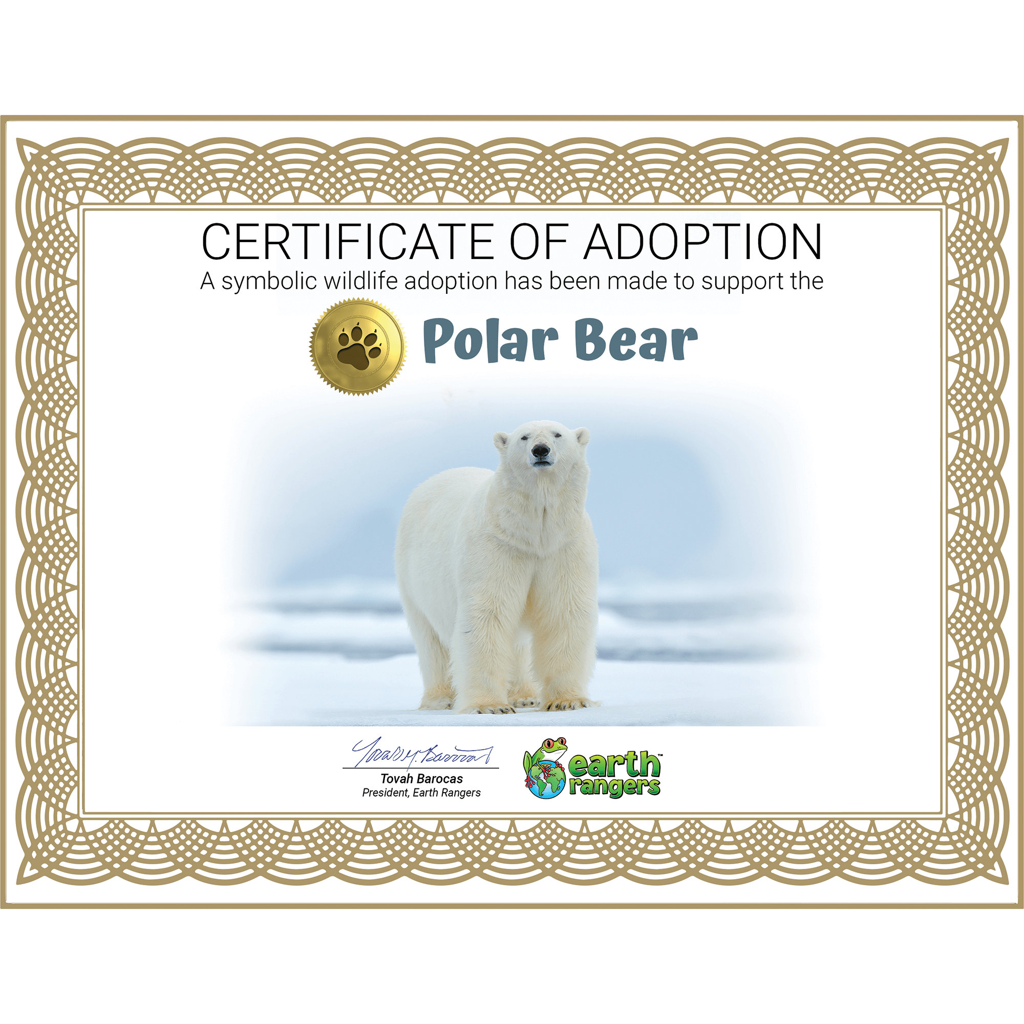 Polar Bear Adoption Kit 