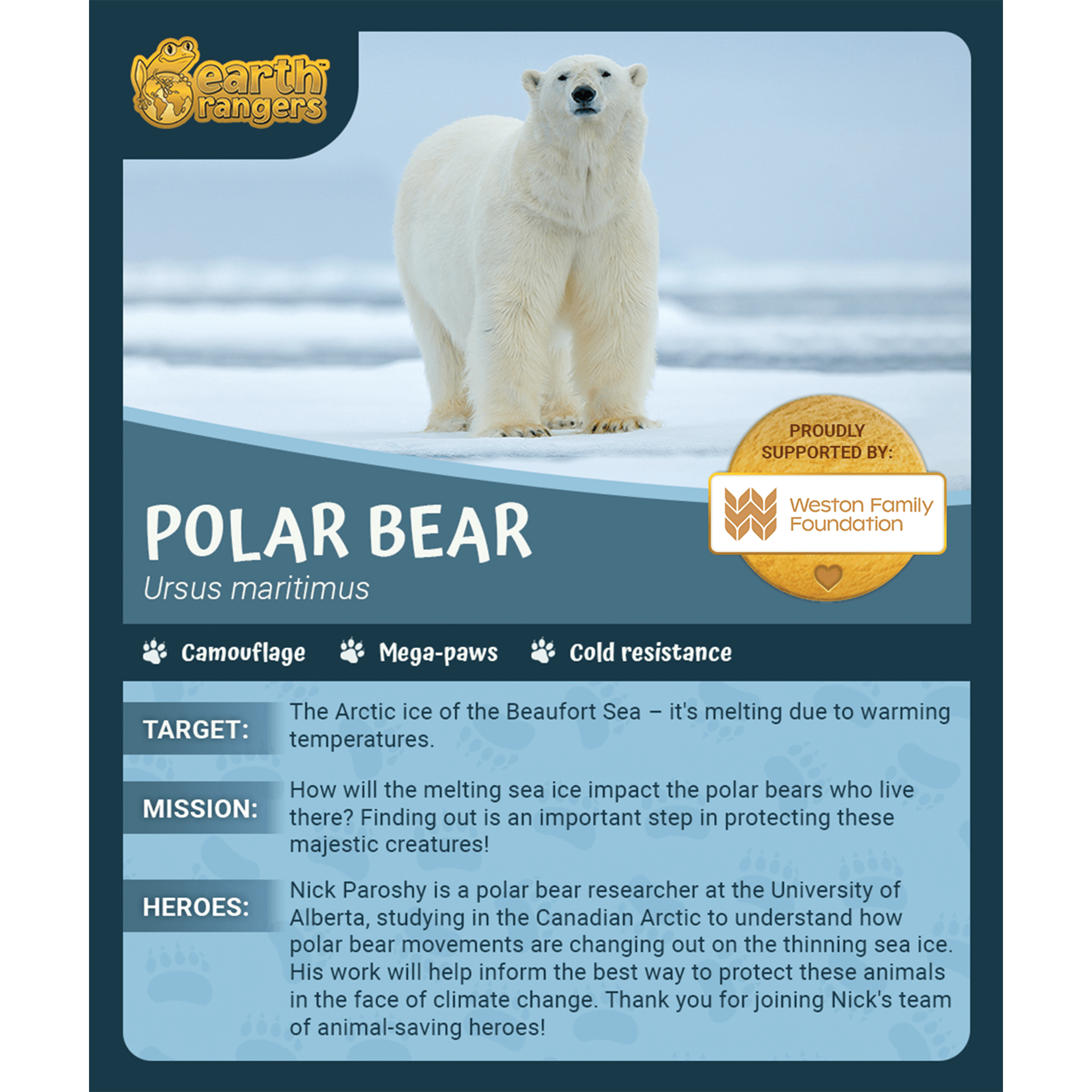 Polar Bear Adoption Kit 