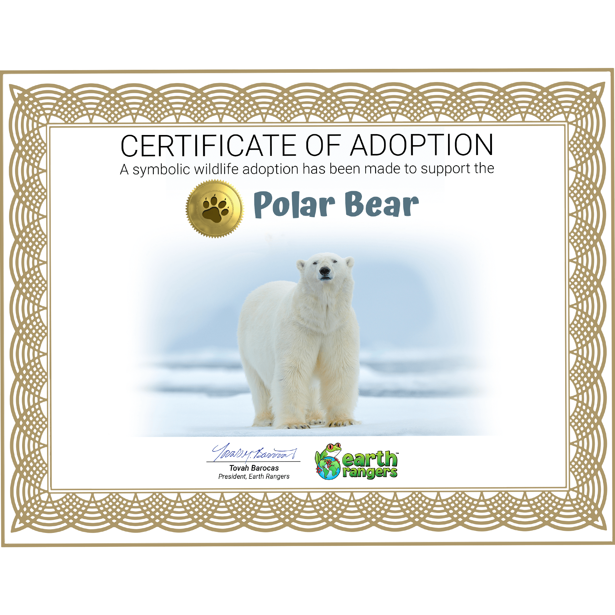 Polar Bear Adoption Kit