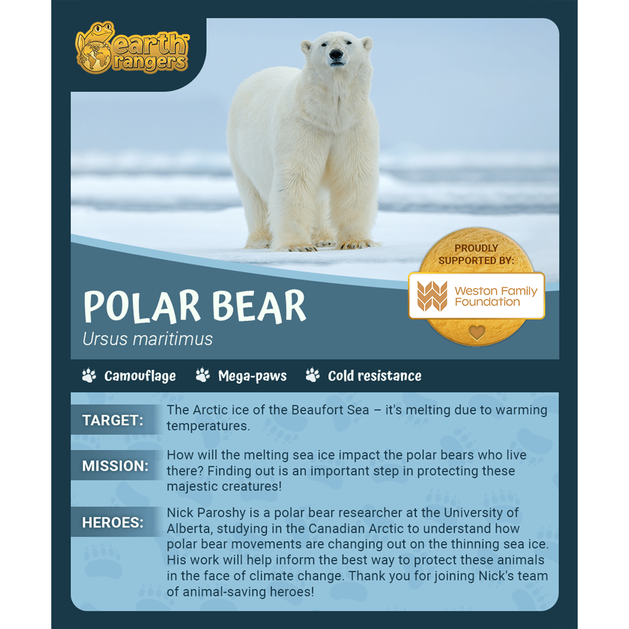 Polar Bear Adoption Kit
