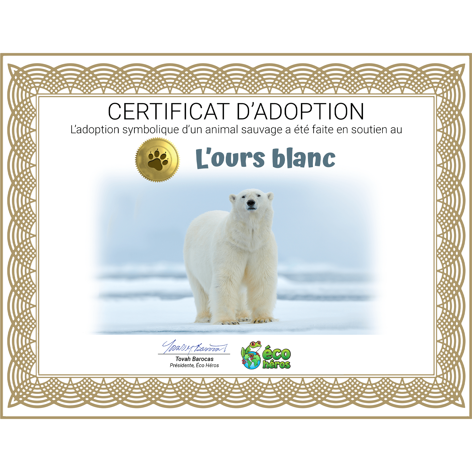 Ensemble d’adoption de l'ours blanc - Peluche