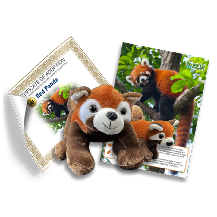 Red Panda Family Adoption Kit