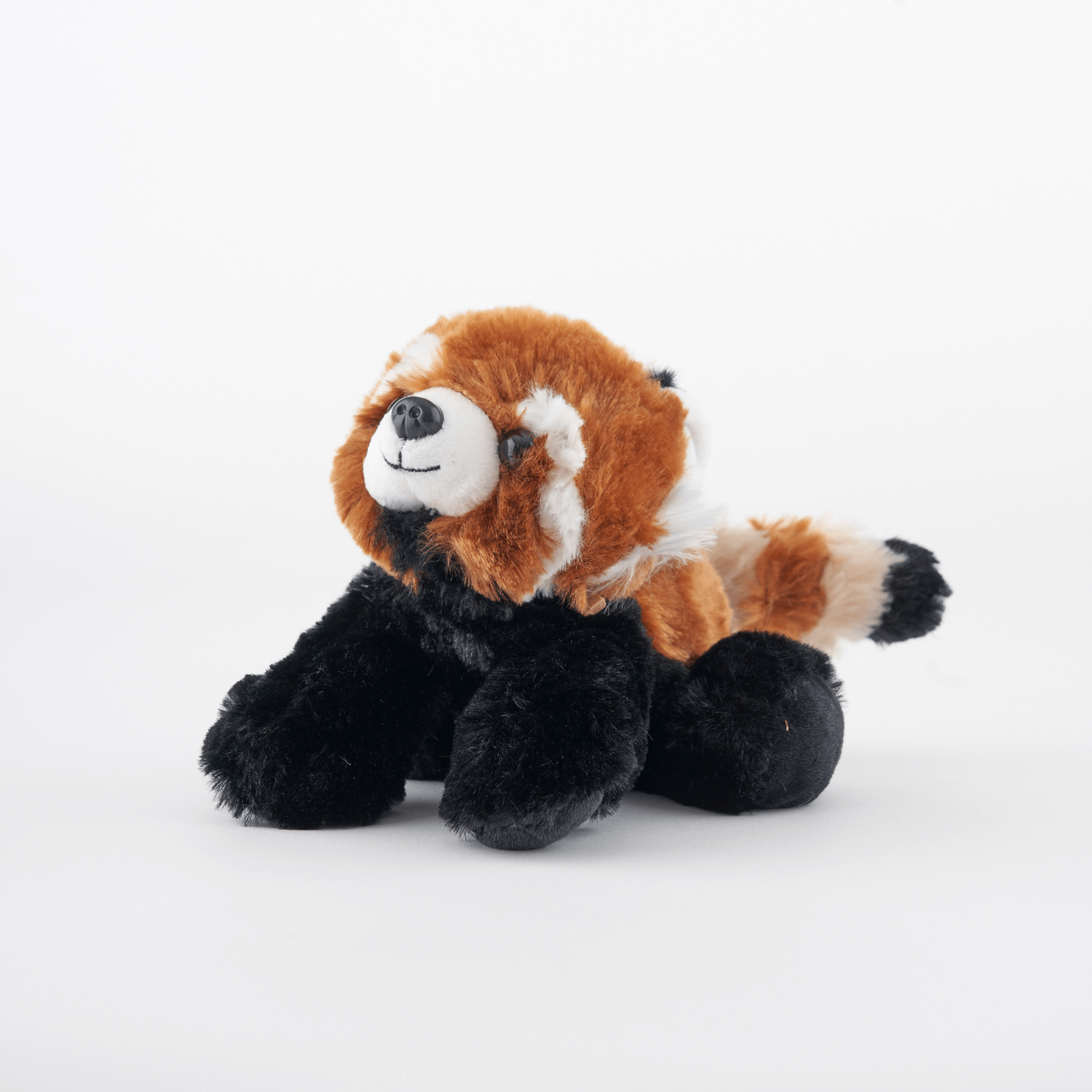 Red Panda Adoption Kit
