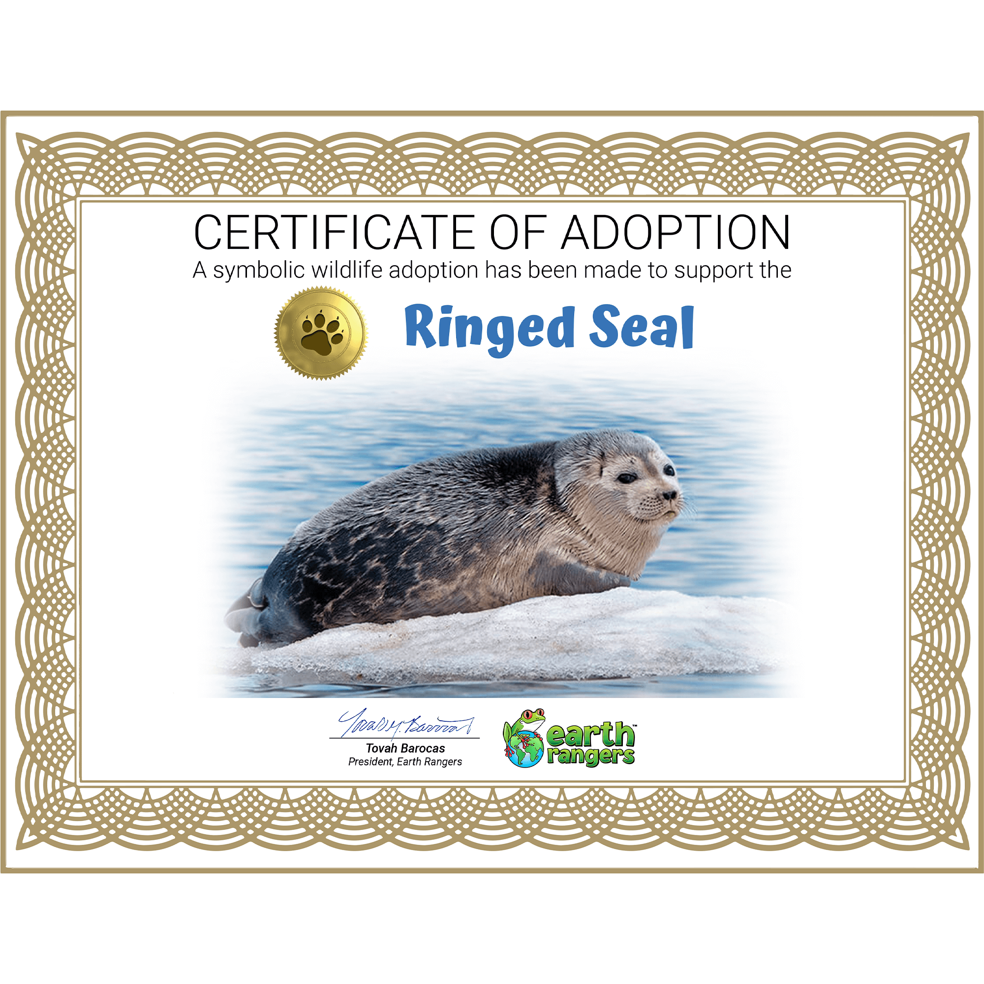 Ringed Seal Adoption Kit 