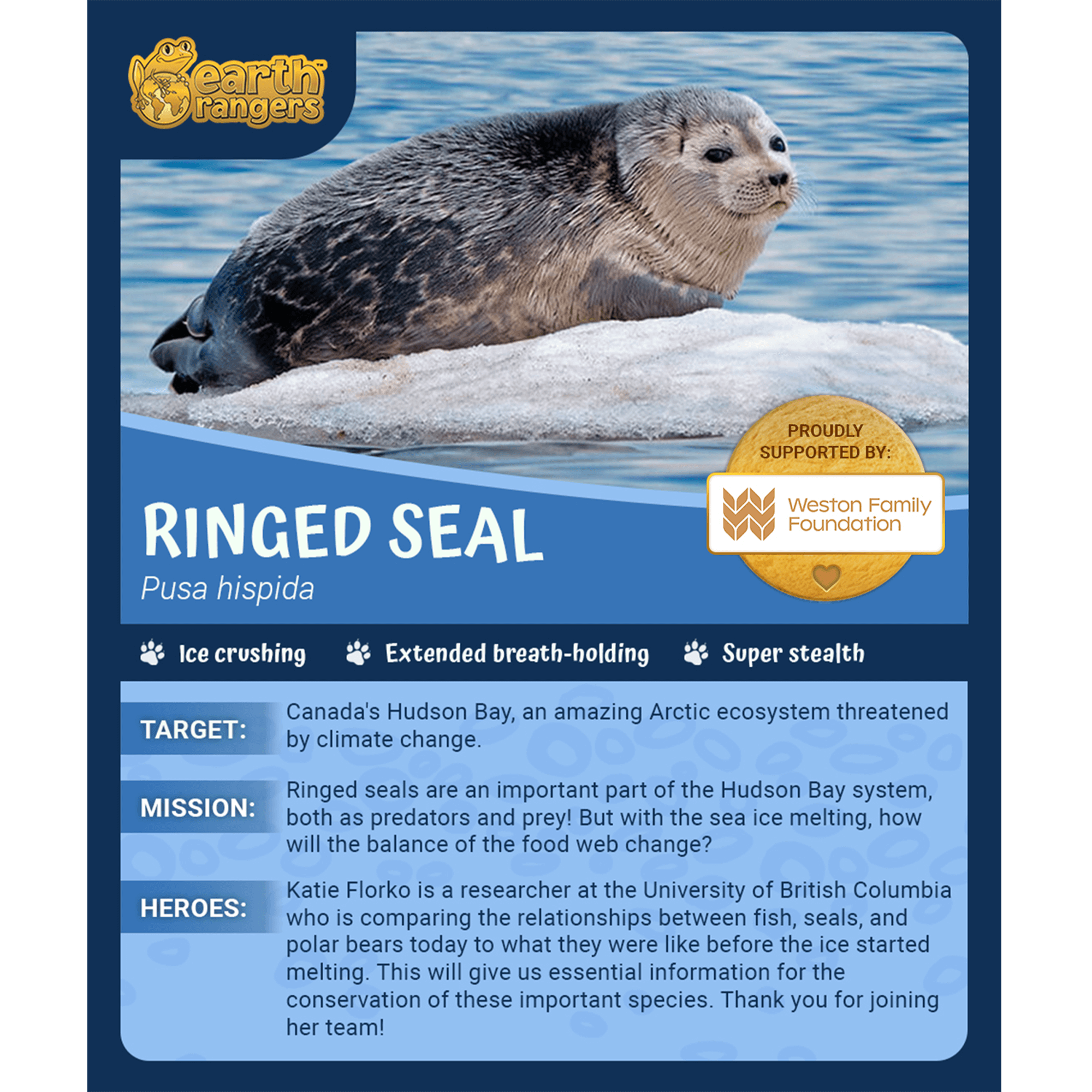 Ringed Seal Adoption Kit 