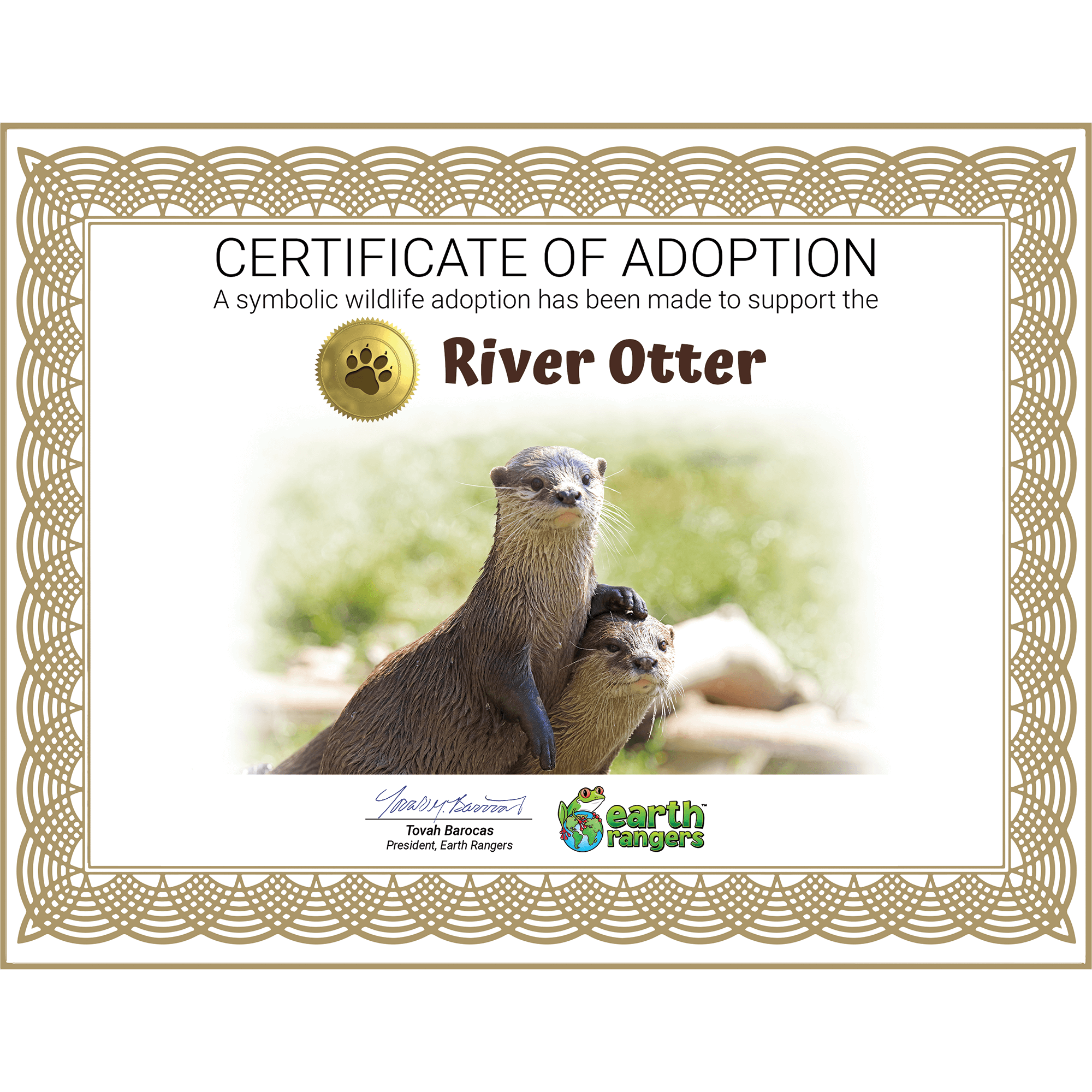 River Otter Adoption Kit