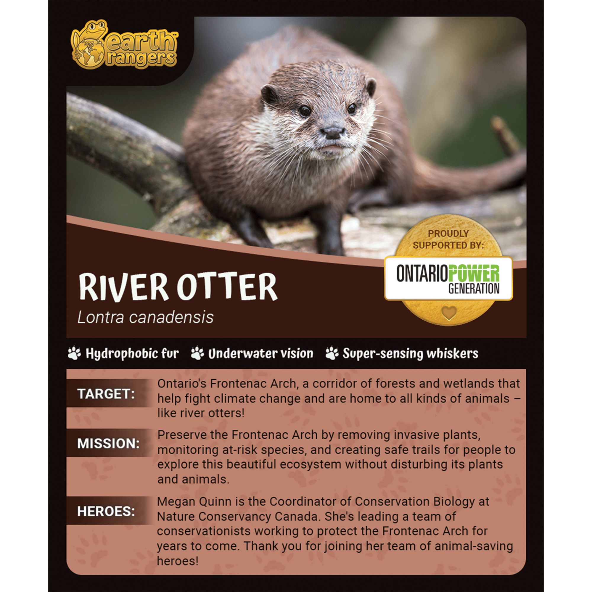 River Otter Adoption Kit