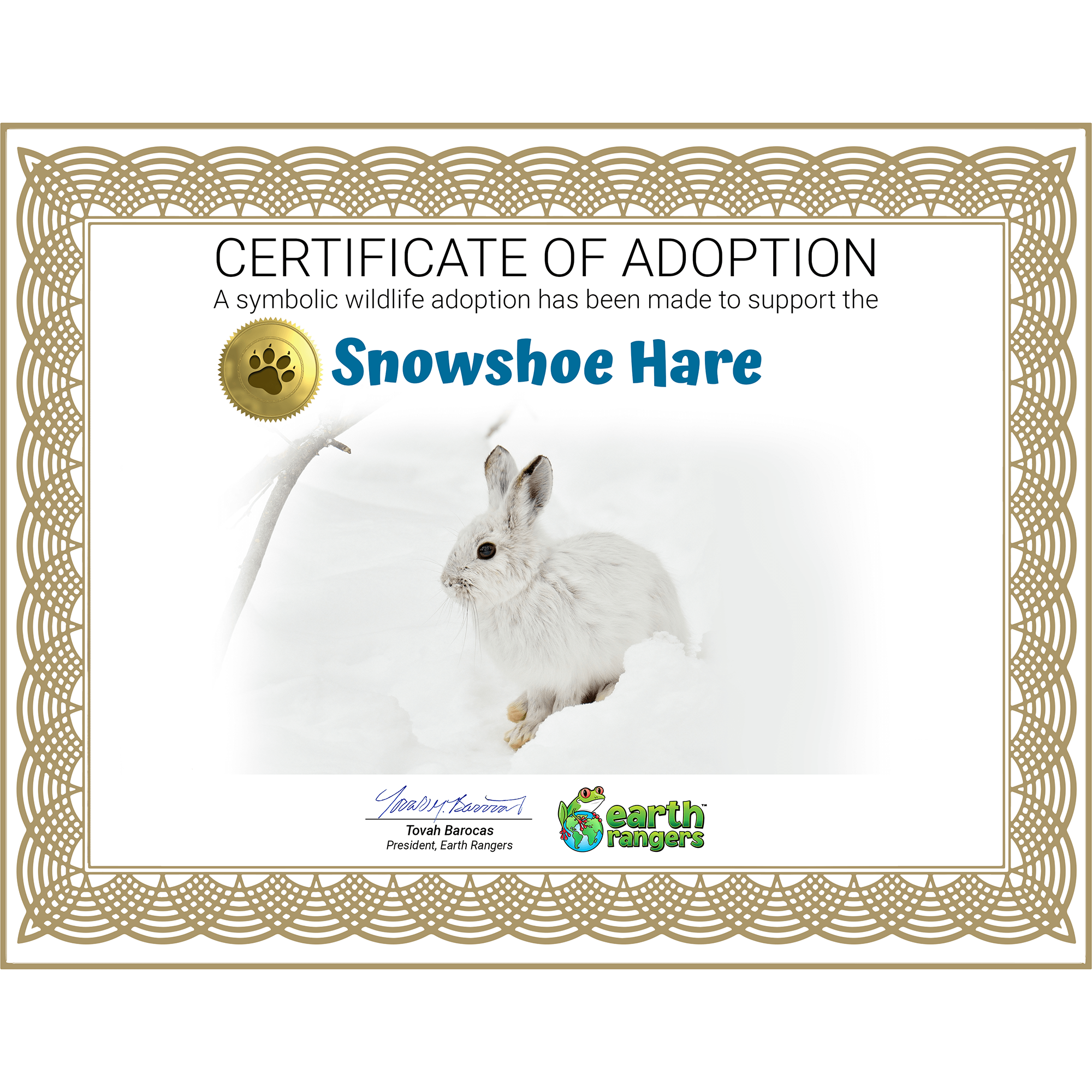 Hare Ranger Snowshoe Hare Adoption Kit – The Earth Rangers Shop