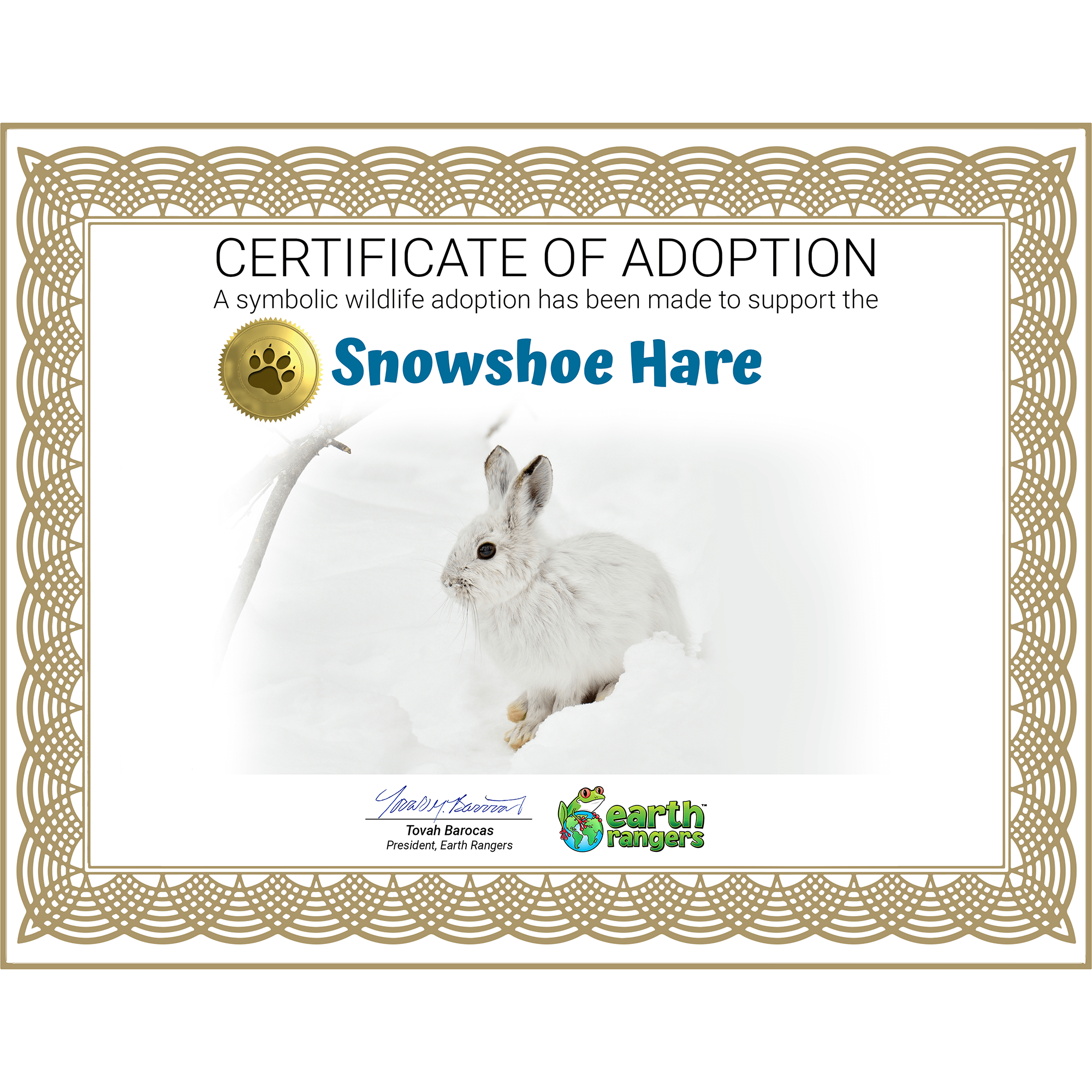 Snowshoe Hare Adoption Kit