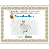 Snowshoe Hare Adoption Kit - Plush Bundle